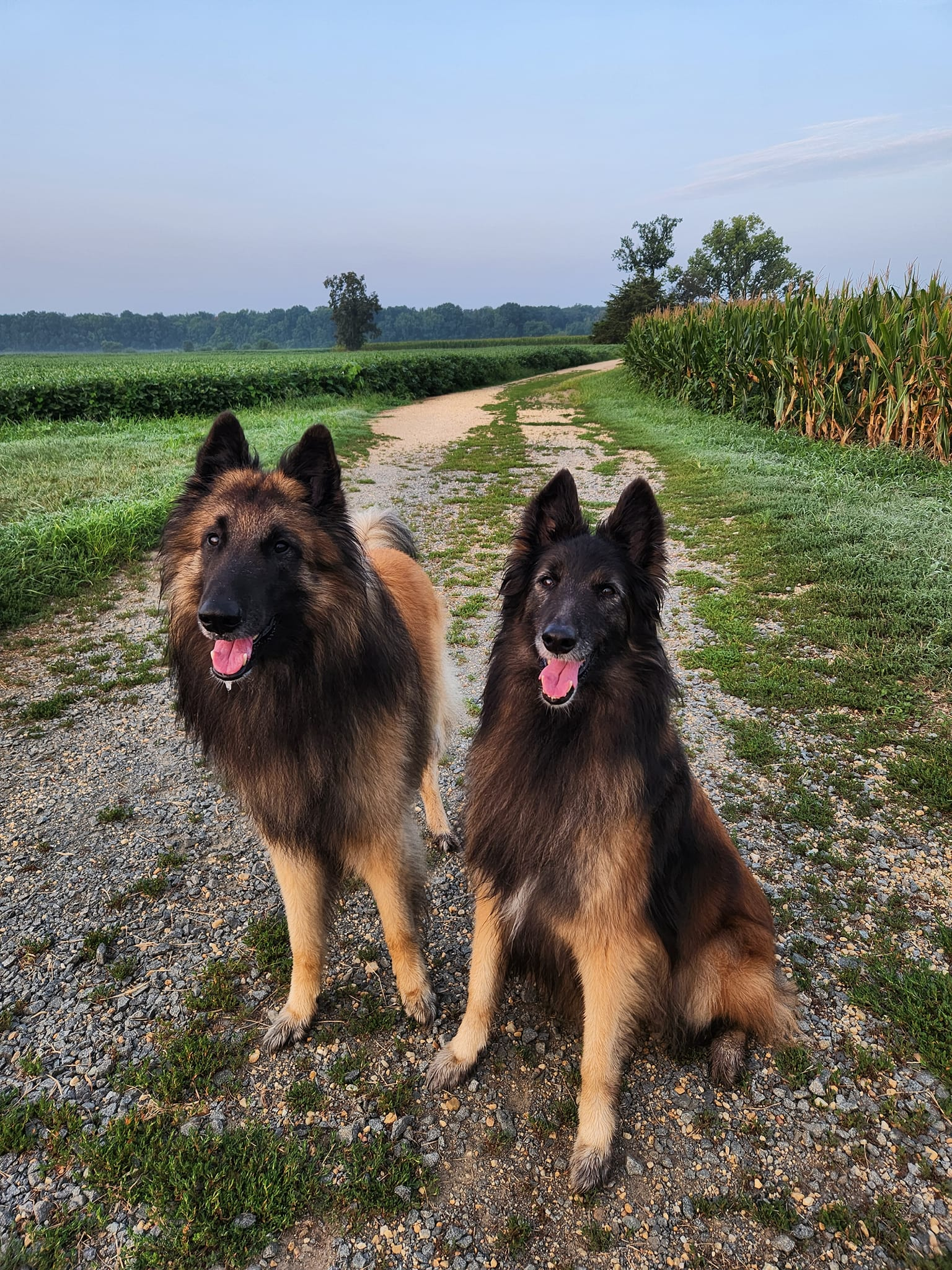 user avatar image for Anna Ruuskanen