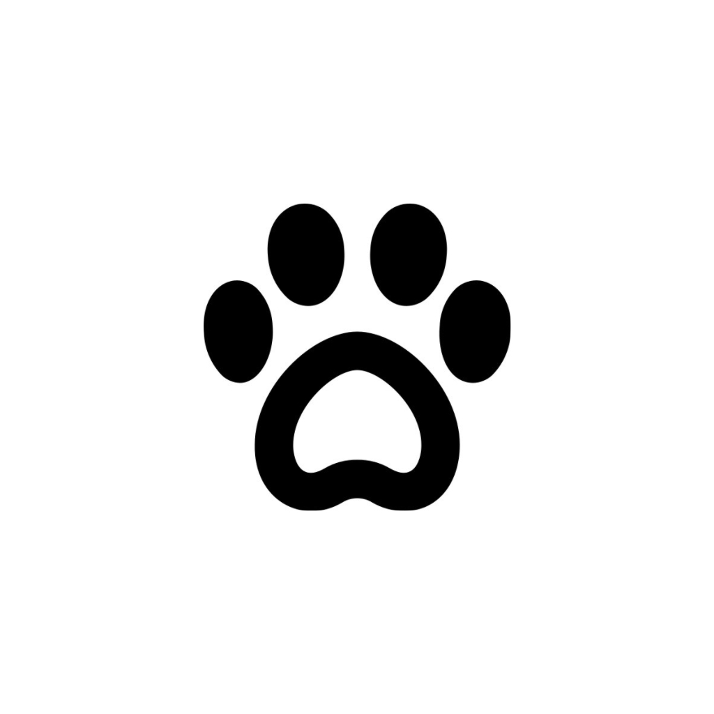 user avatar image for ioer