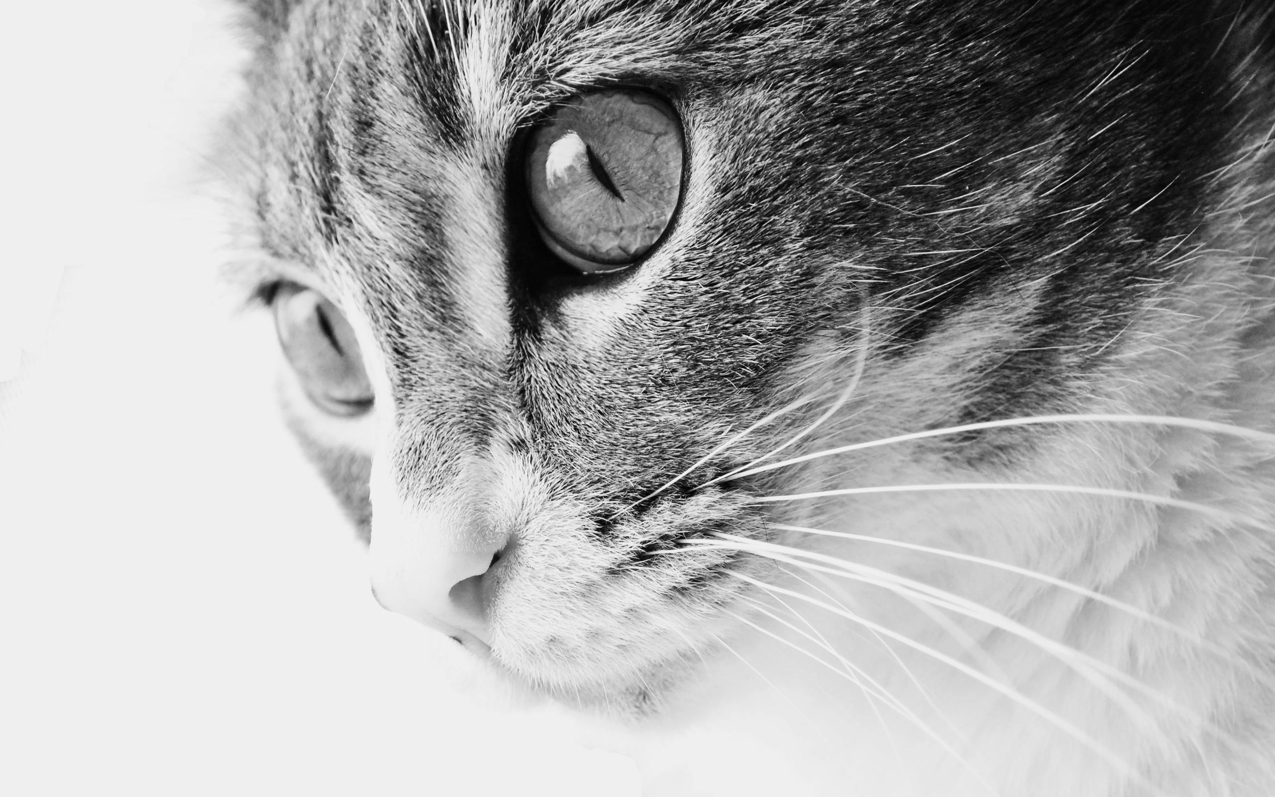 user avatar image for K. Asay