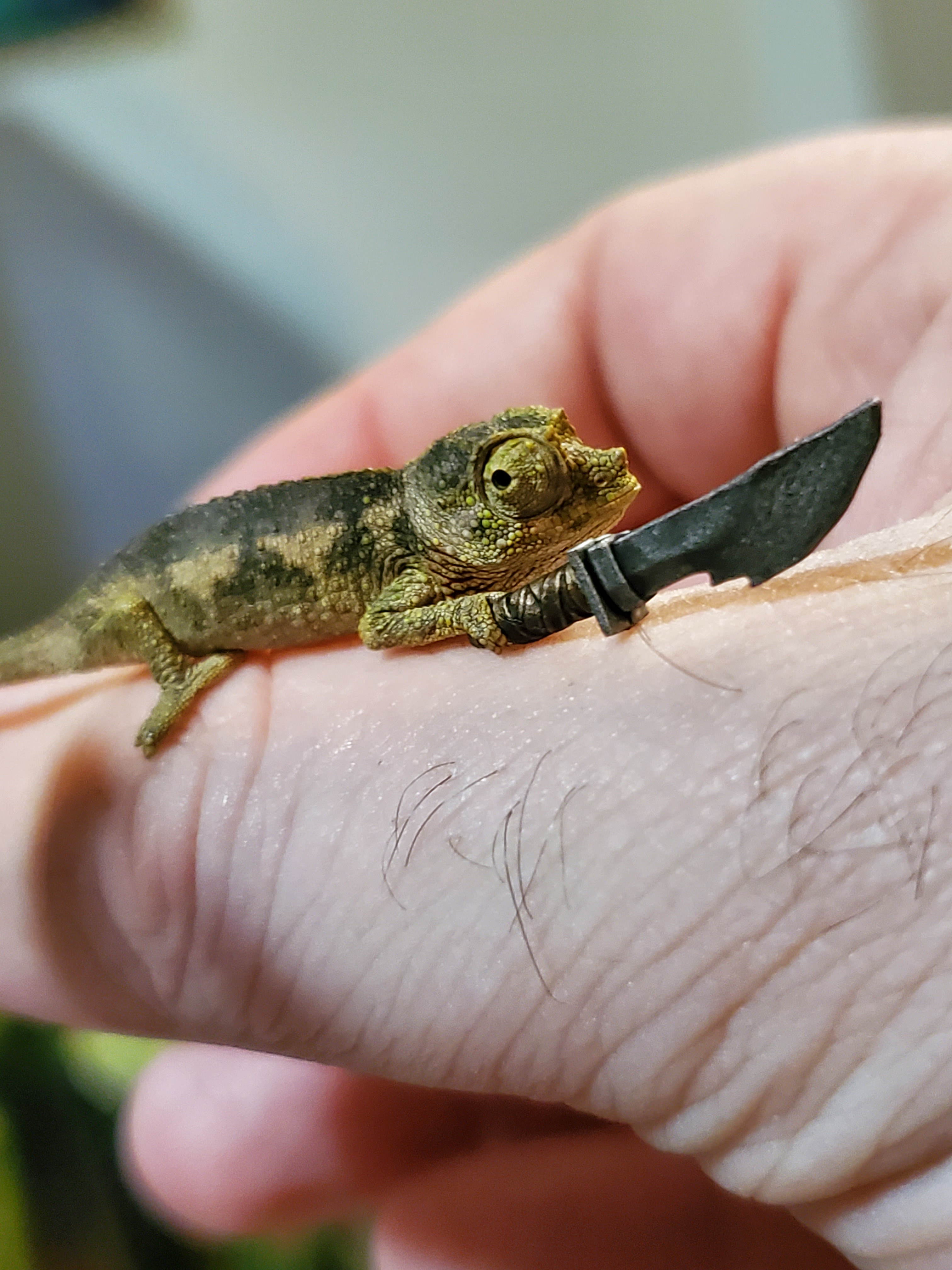 user avatar image for Luke Hannon