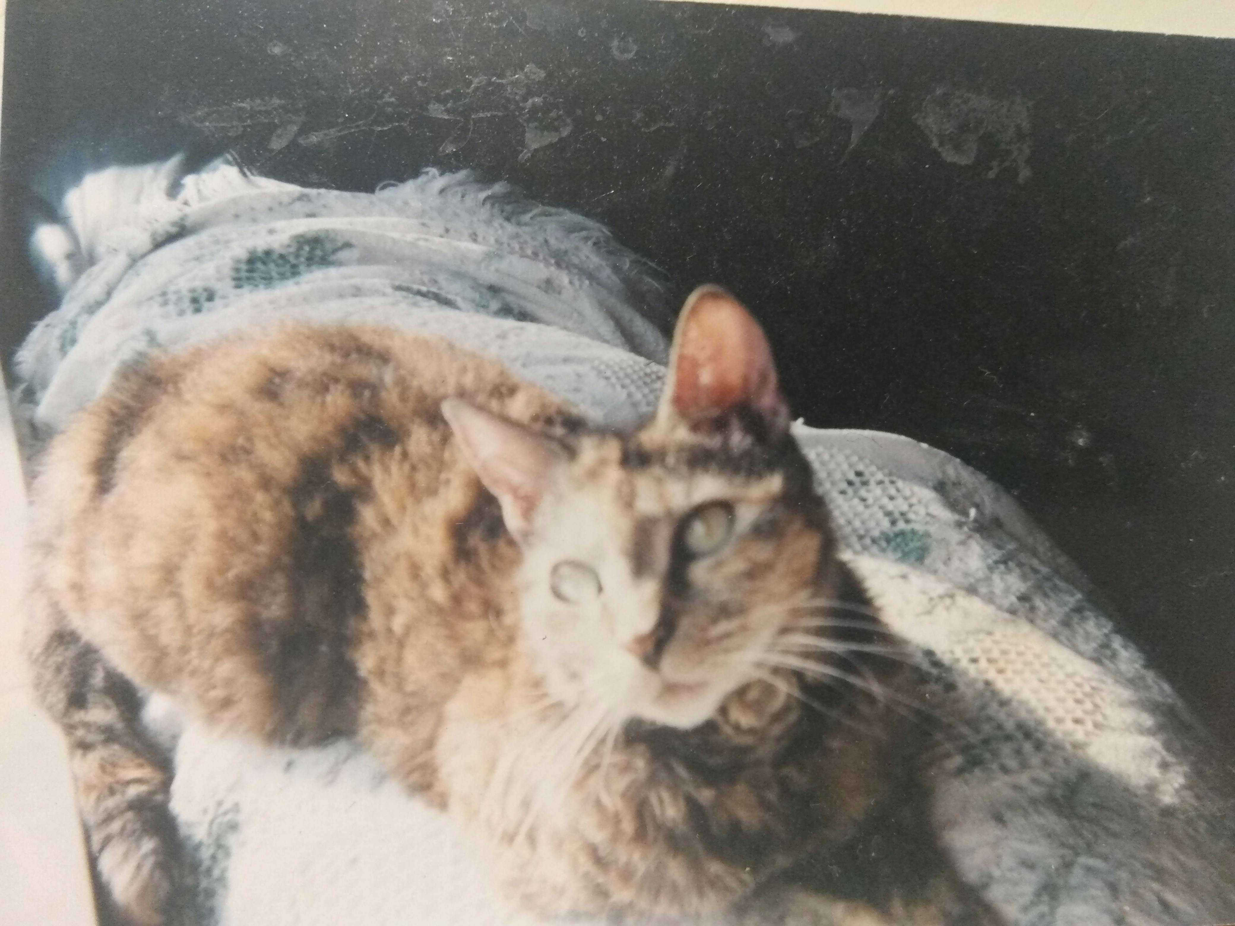 user avatar image for glhf