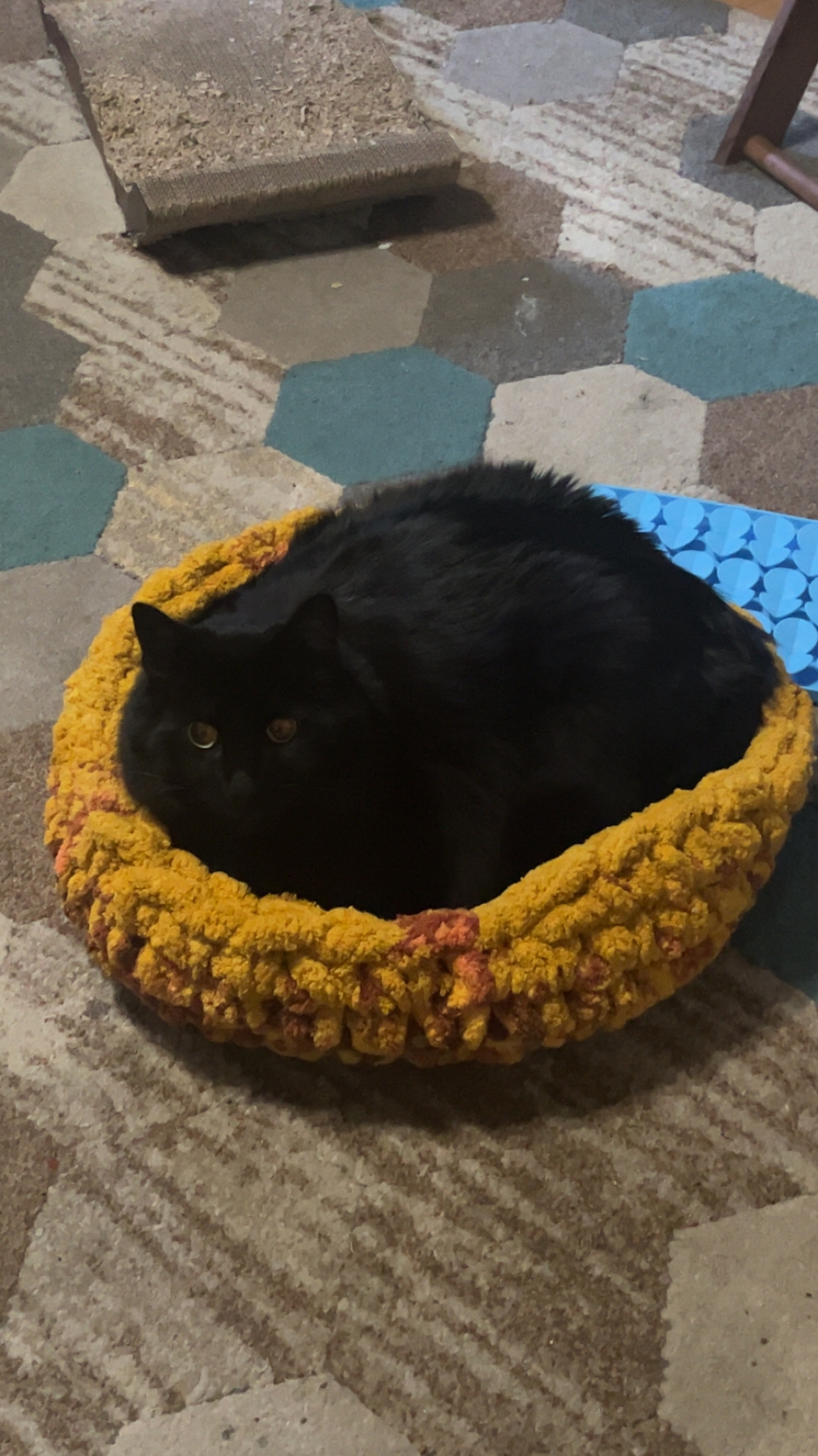 user avatar image for Emily