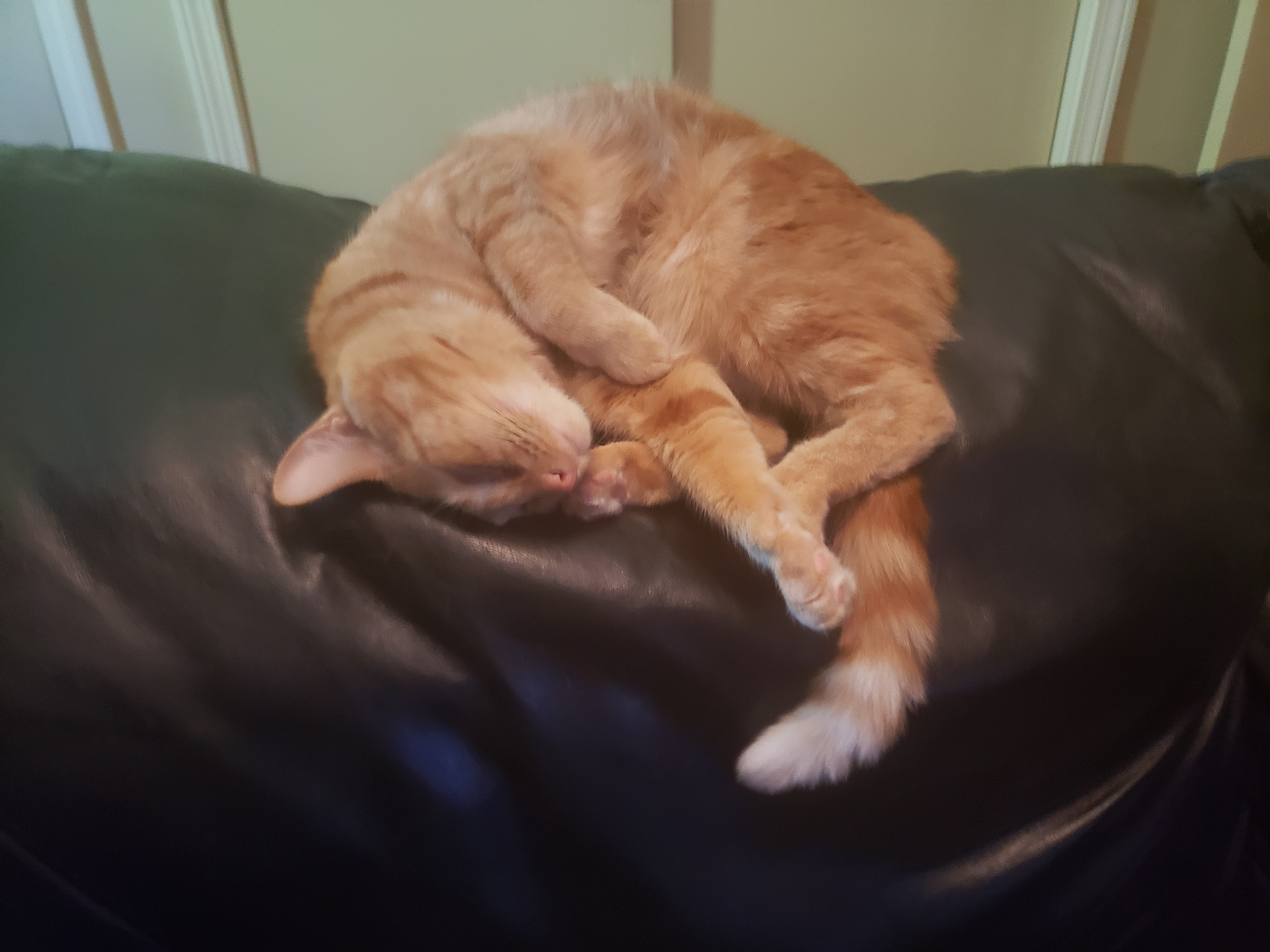 user avatar image for BreezyBorne