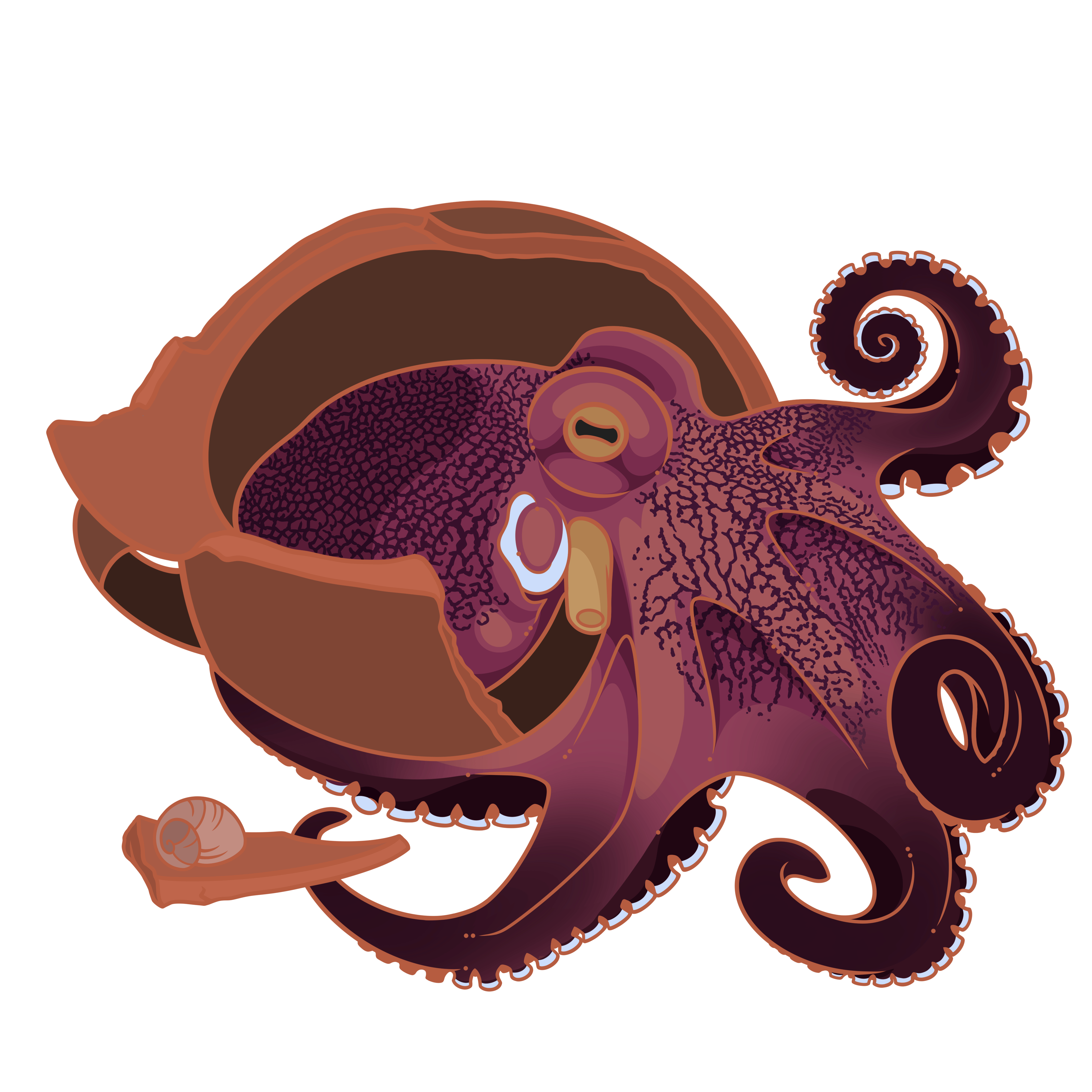 Extra Large Cephalopod Pin Design 