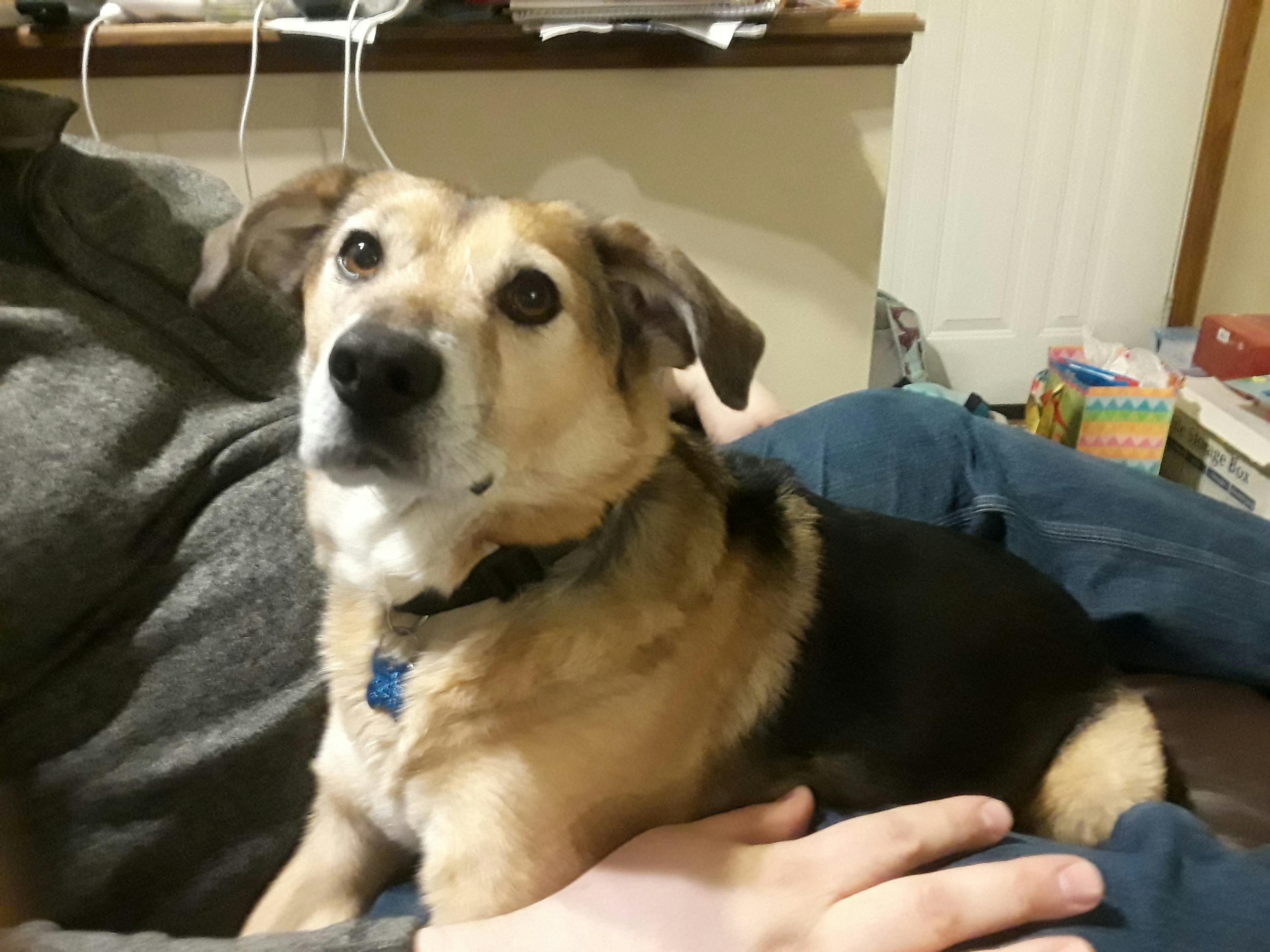 user avatar image for Belegorn