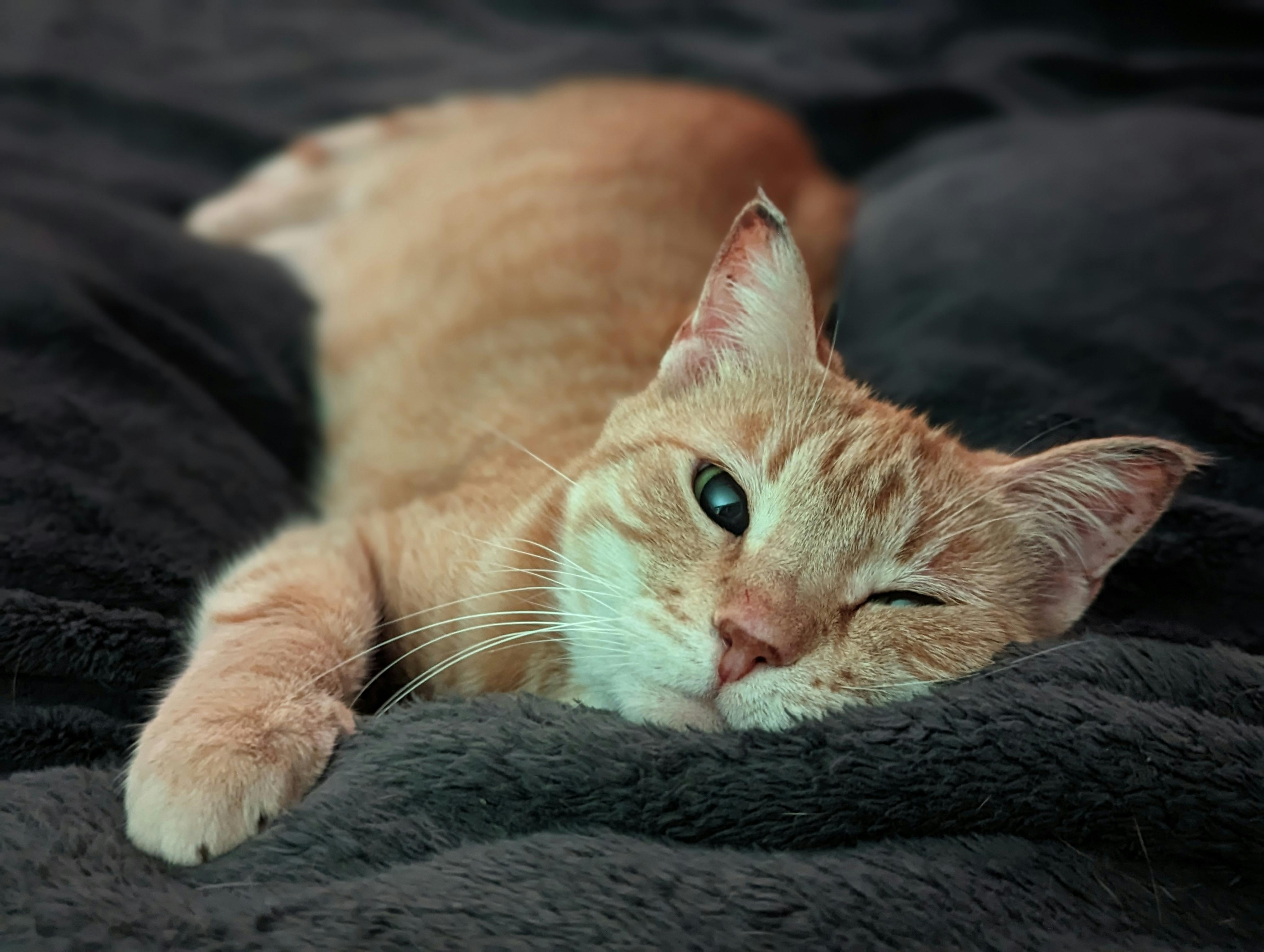 user avatar image for Amanda Gall