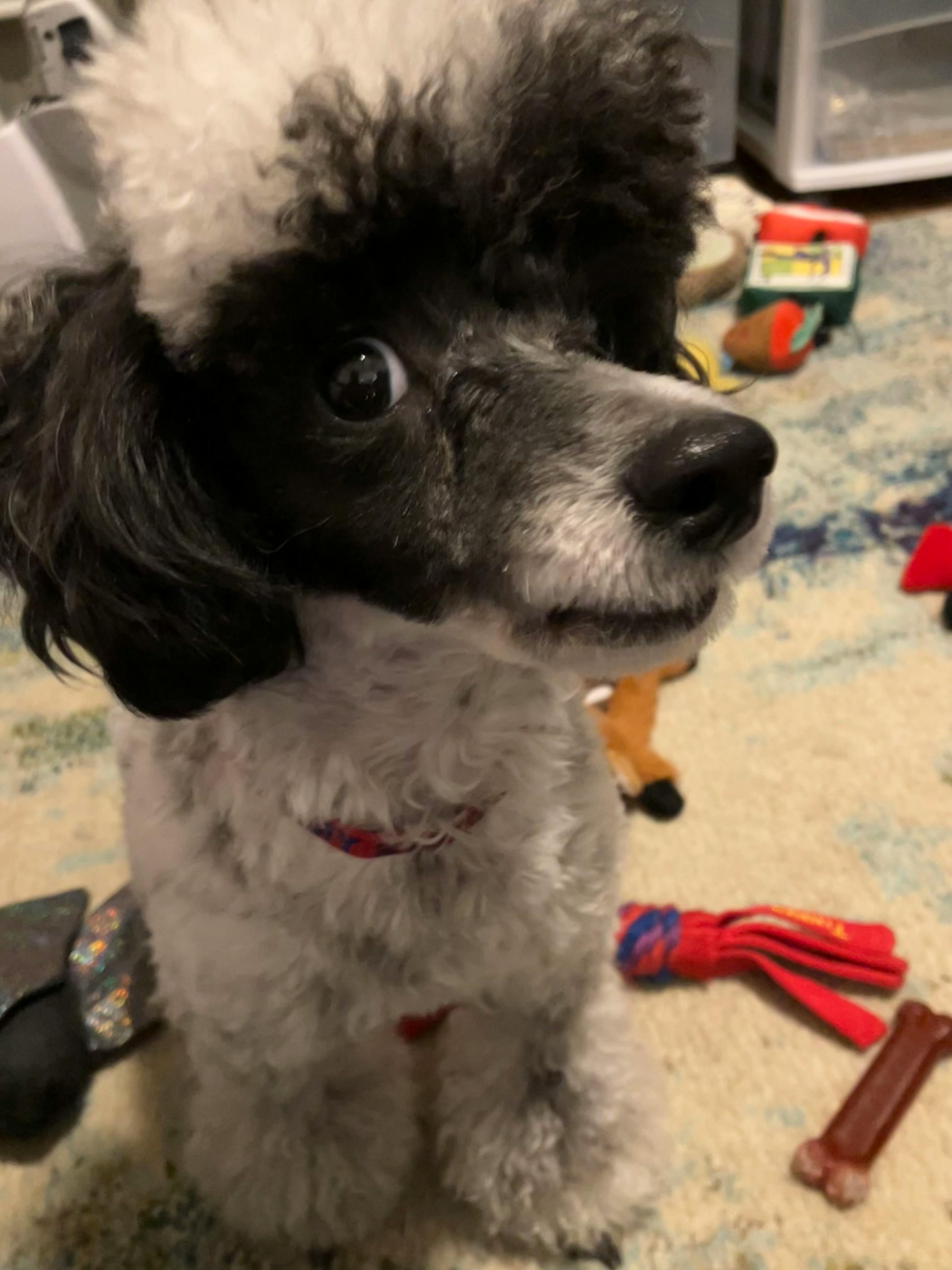 user avatar image for Kit Valentine