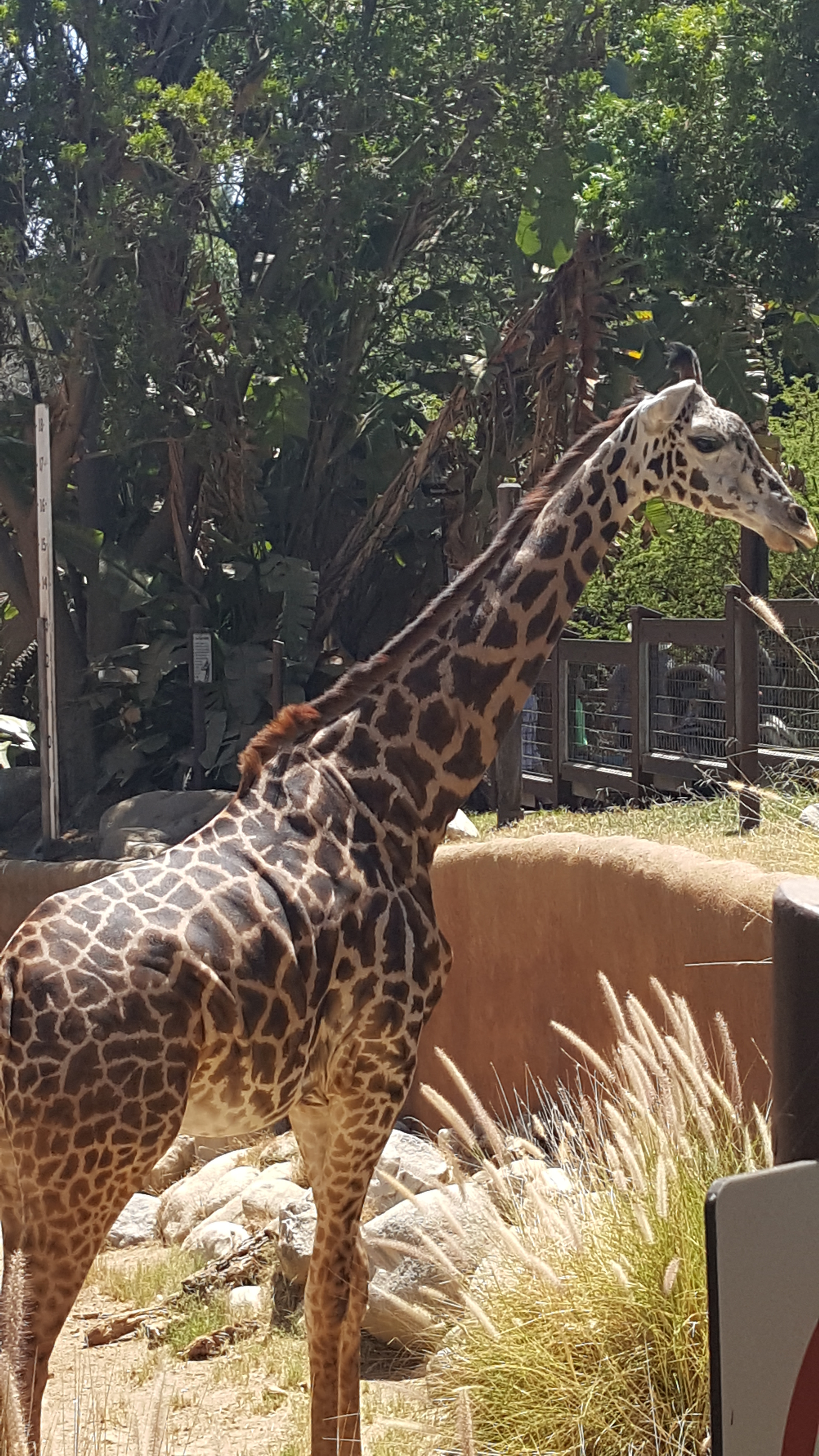 user avatar image for Niccolo