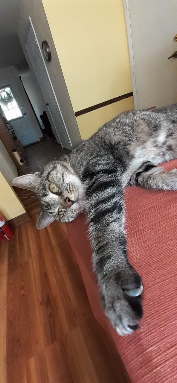 user avatar image for Thomas M Bennett