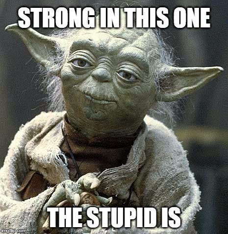 user avatar image for MikeMont
