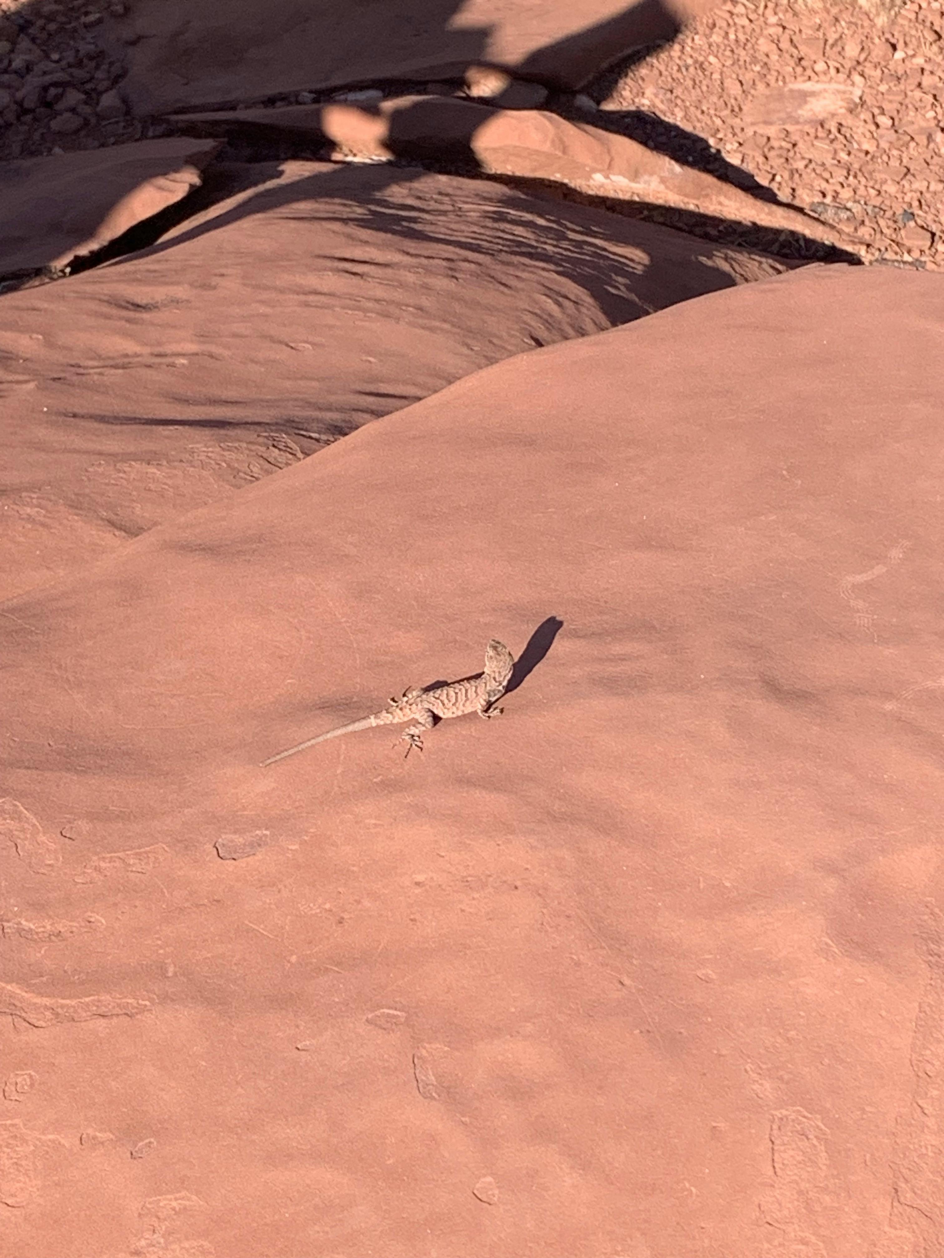 user avatar image for varmi <3