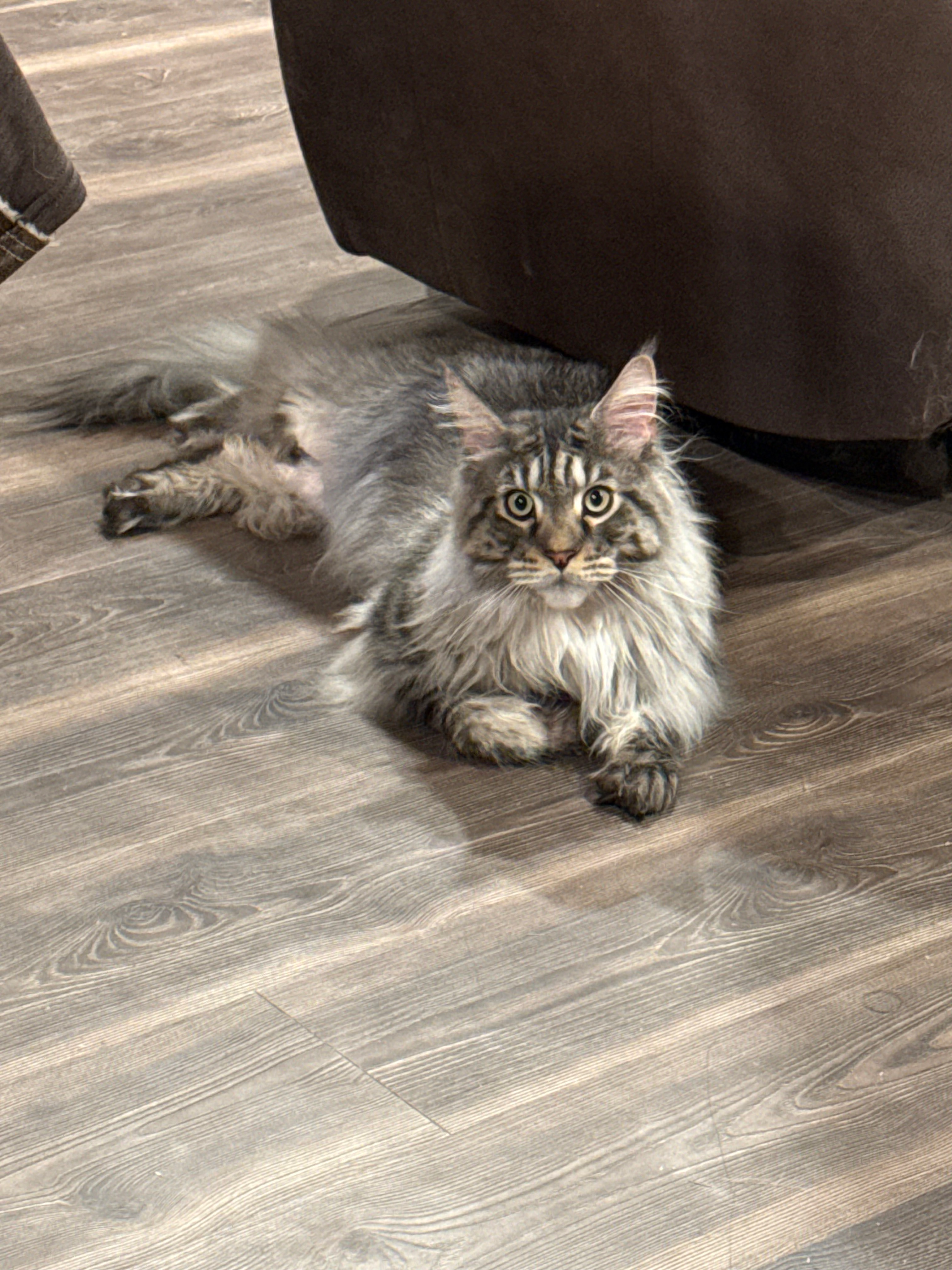 user avatar image for Forrest Rode