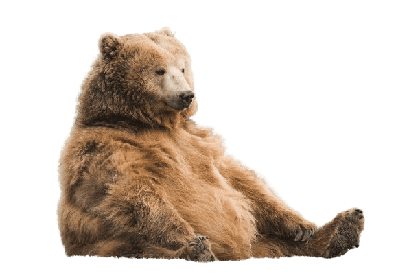 user avatar image for Teddy