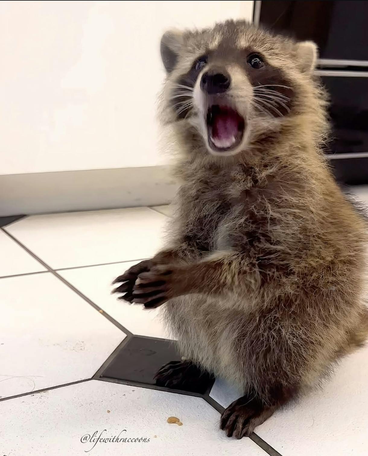 user avatar image for Michał