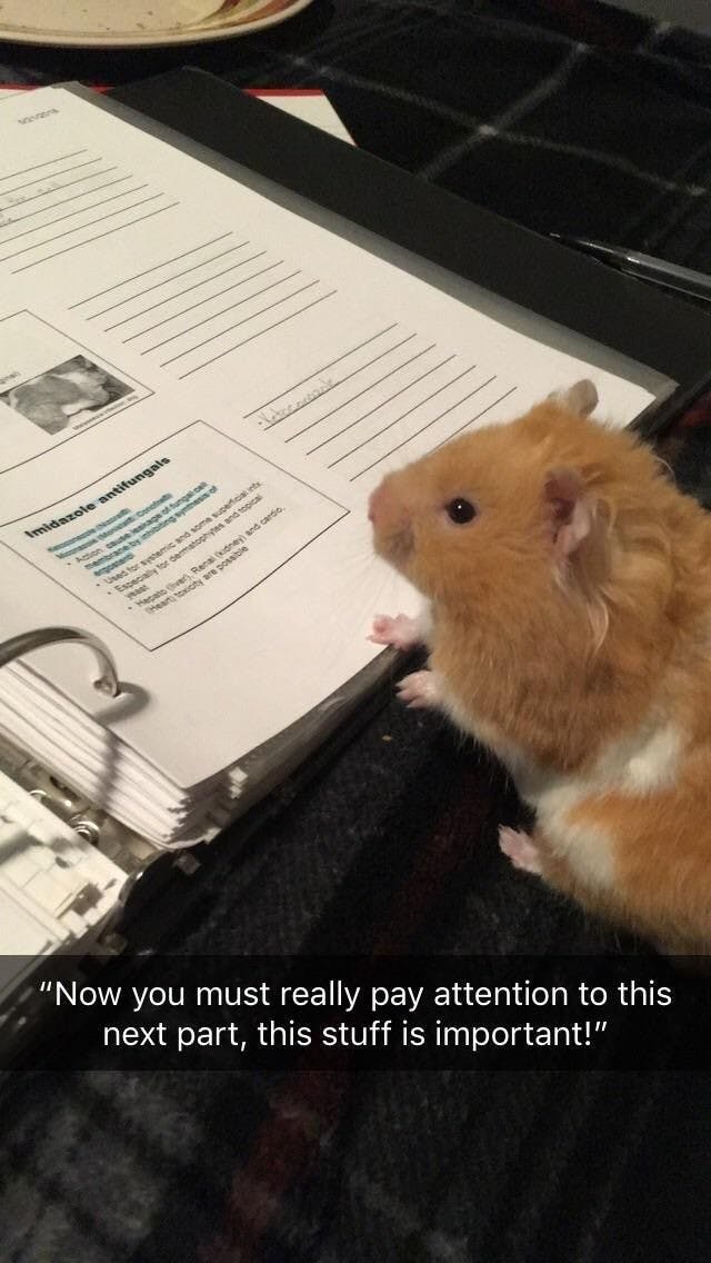 user avatar image for Nuni