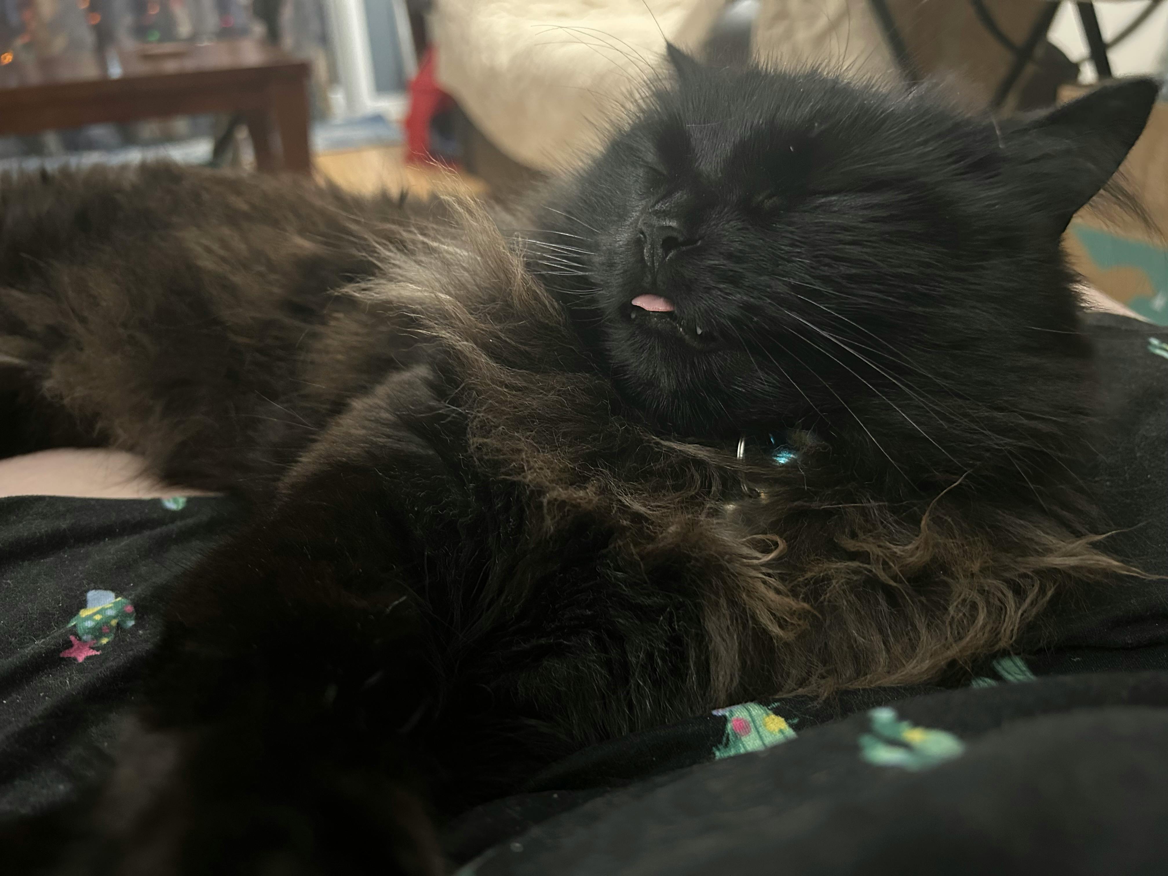 user avatar image for Bee4444