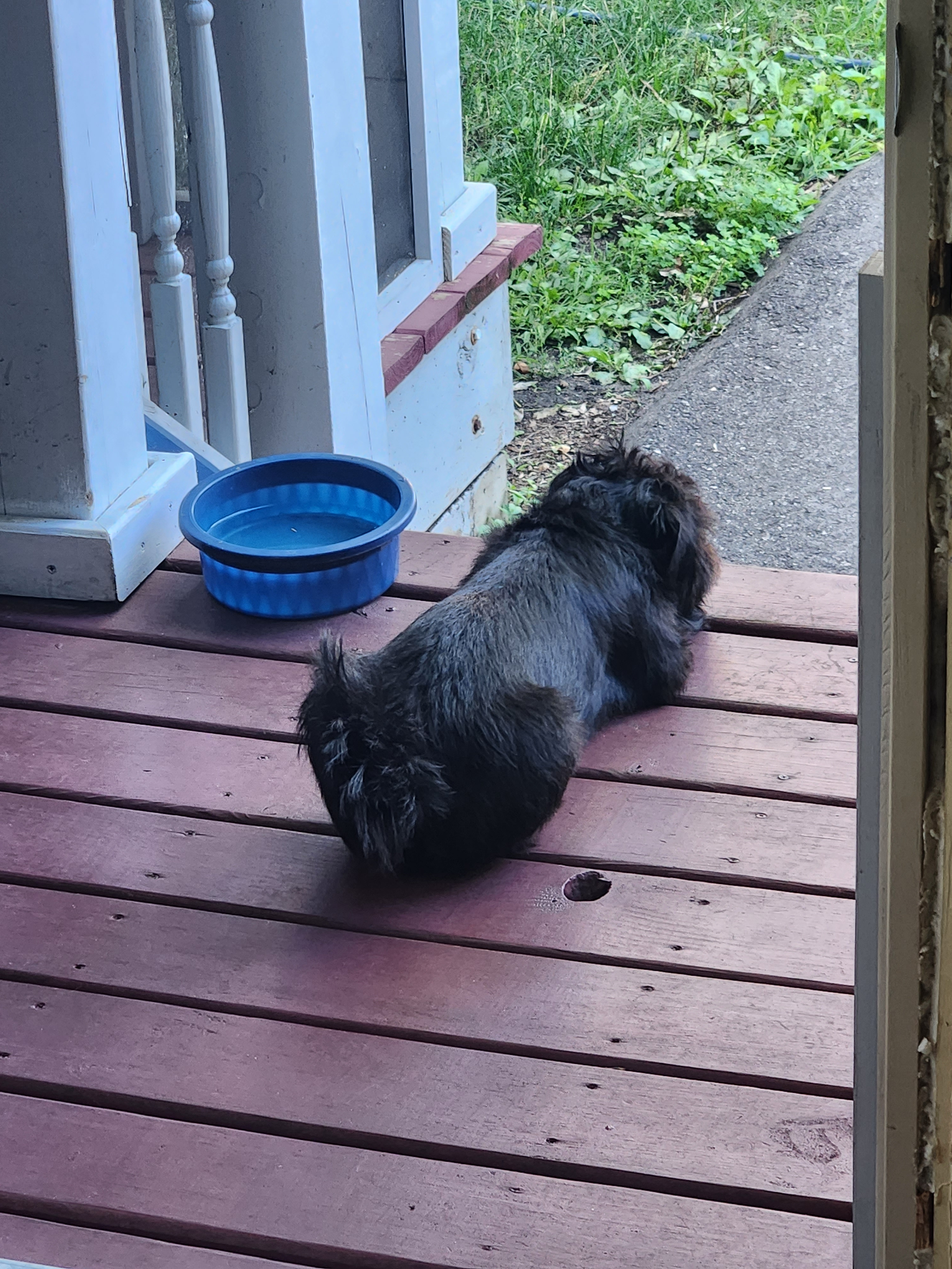 user avatar image for Randy Göring