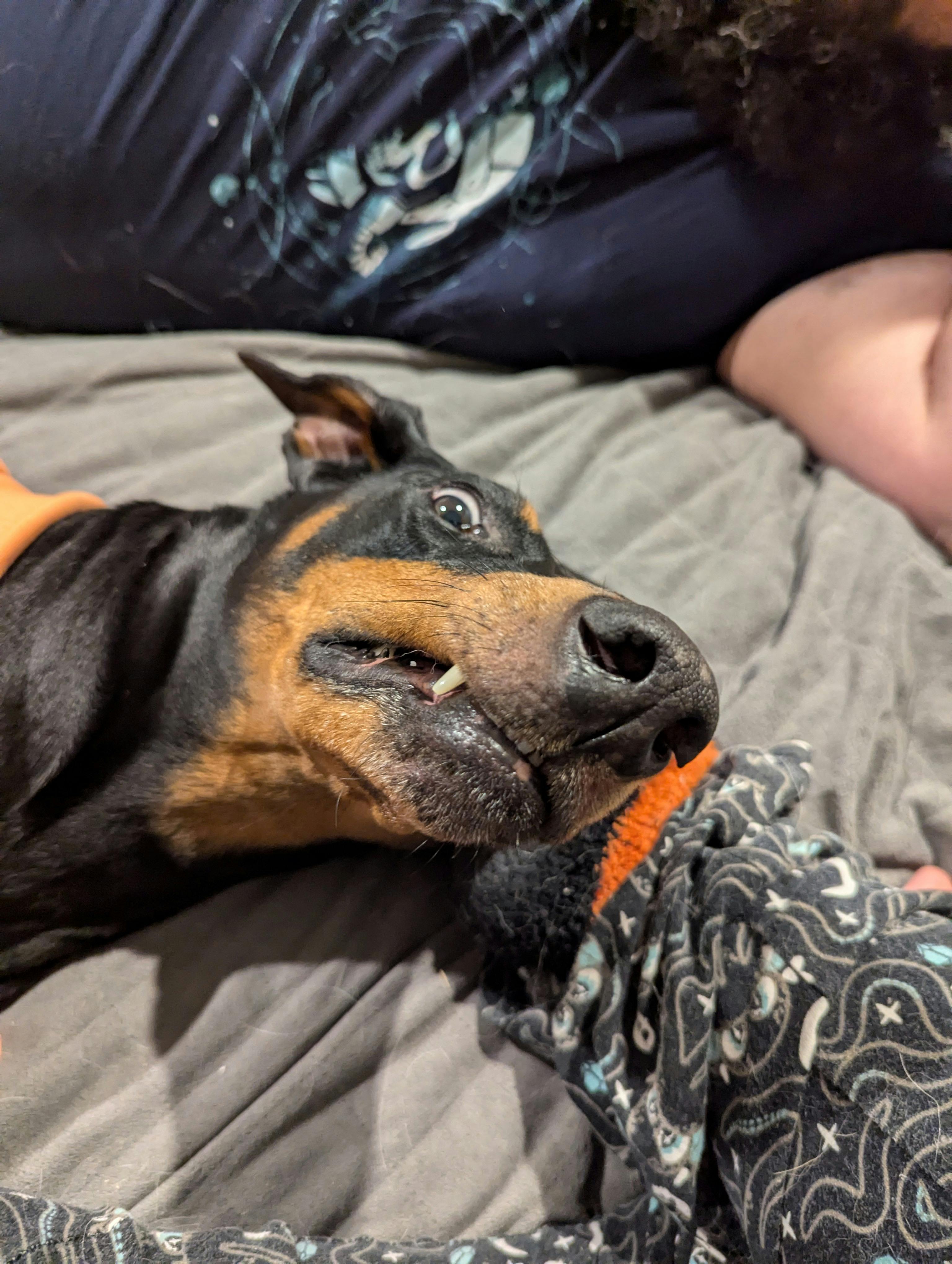 user avatar image for Natasia Schiffers