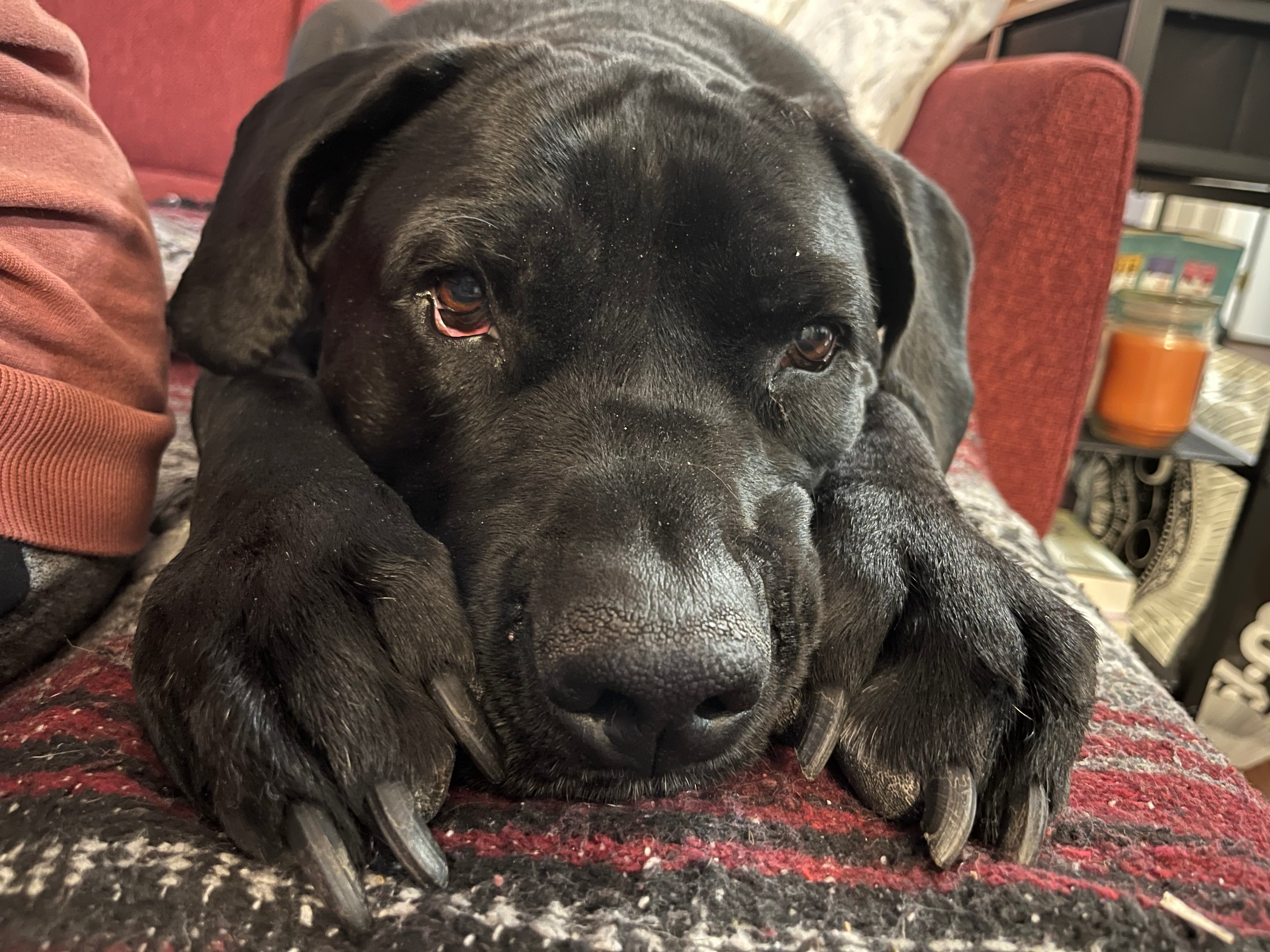 user avatar image for Abby