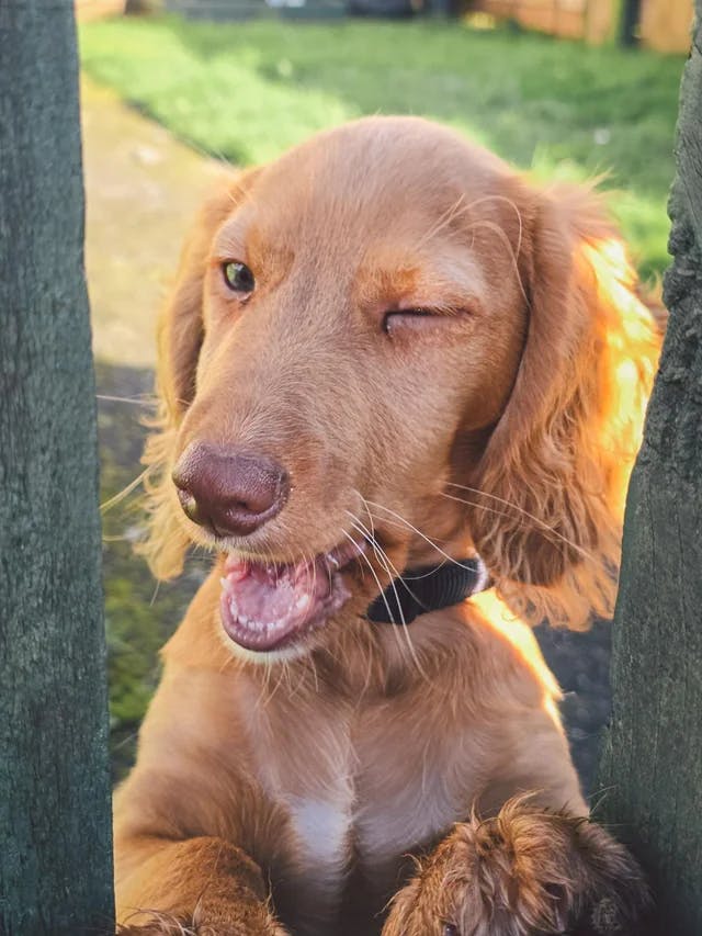 user avatar image for Eisbrauhaus