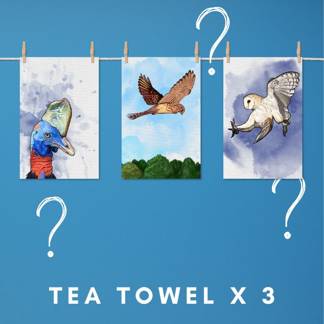 3 Tea Towels