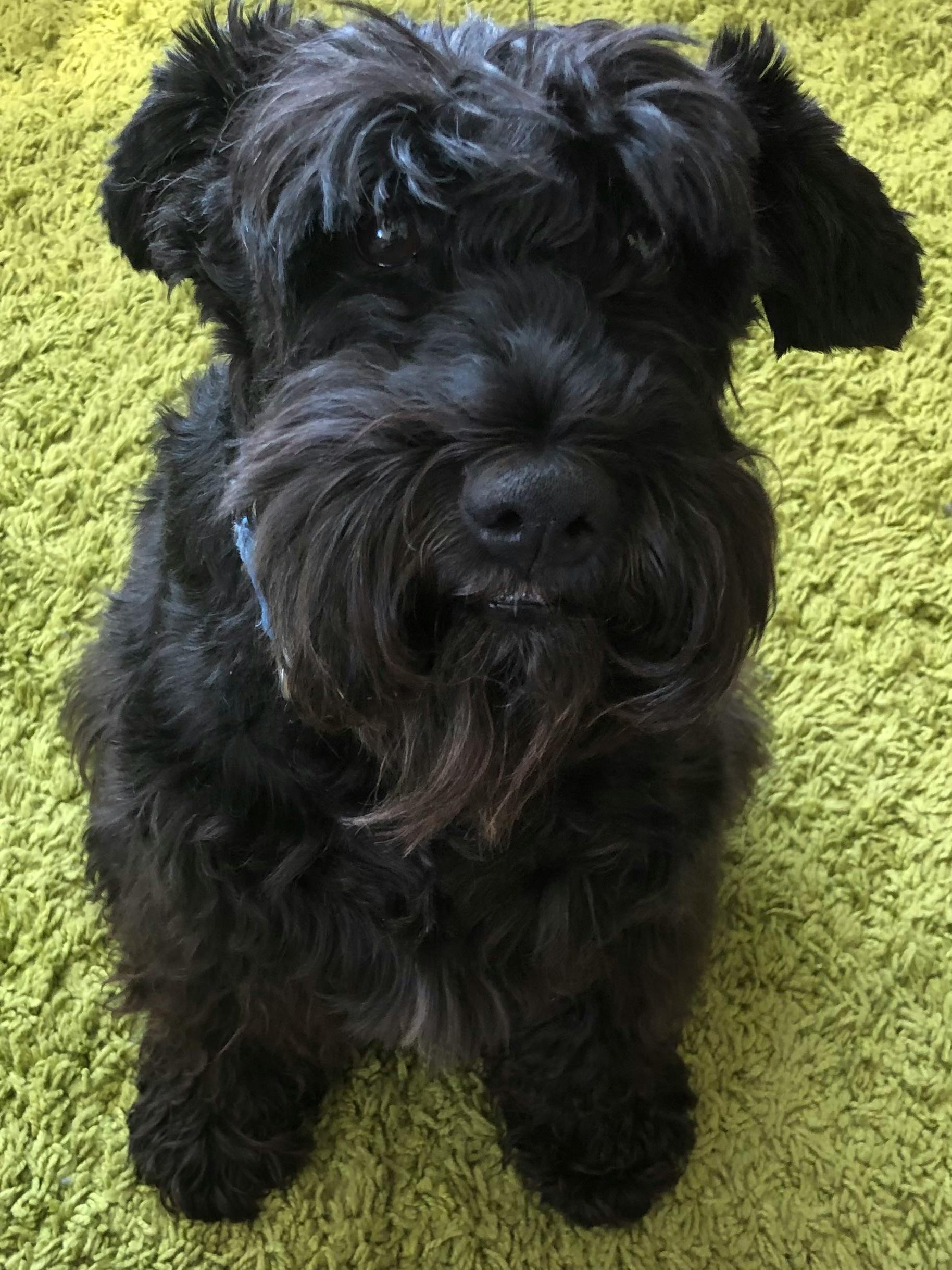 user avatar image for Pompei1966