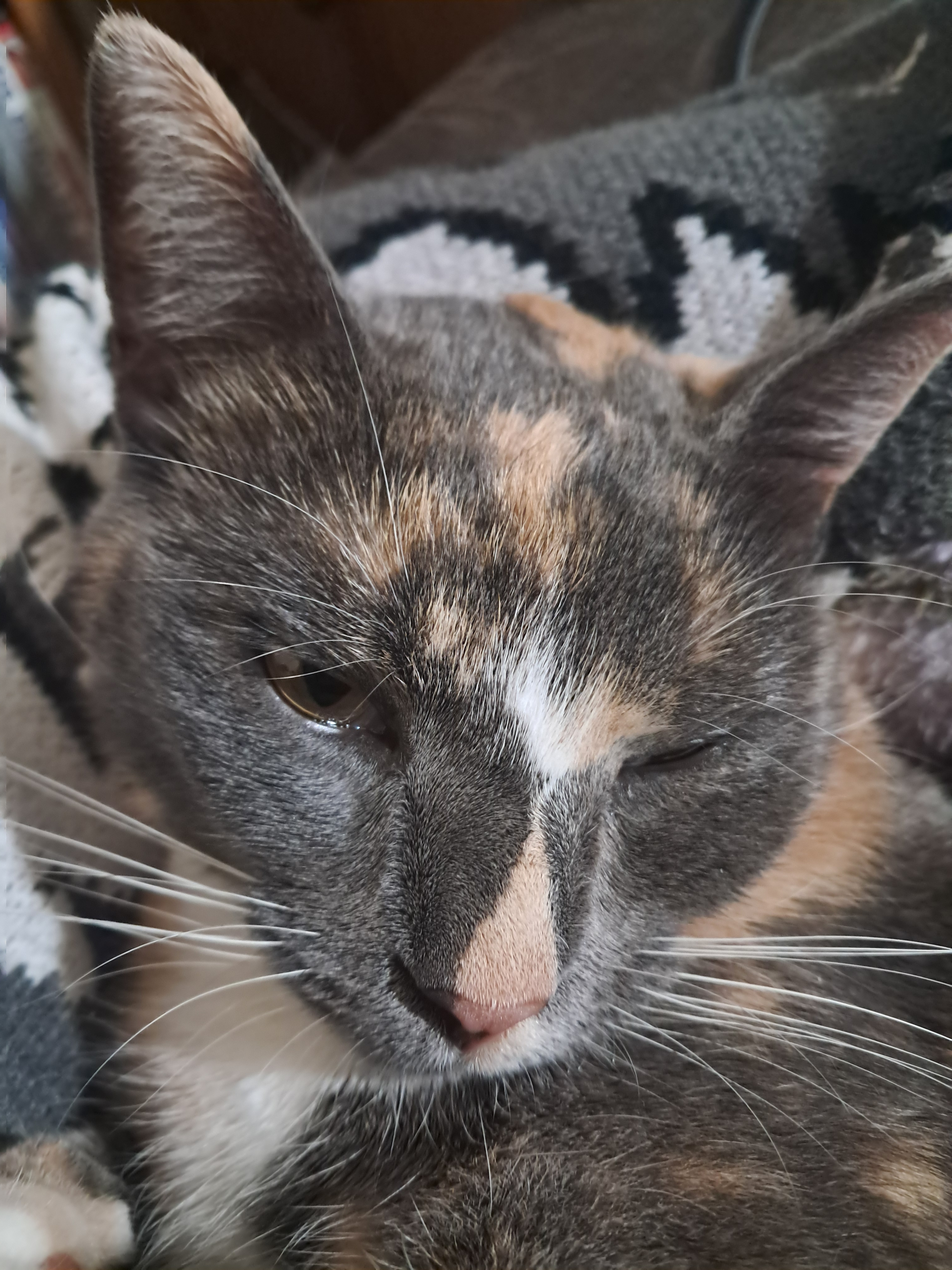 user avatar image for Liam