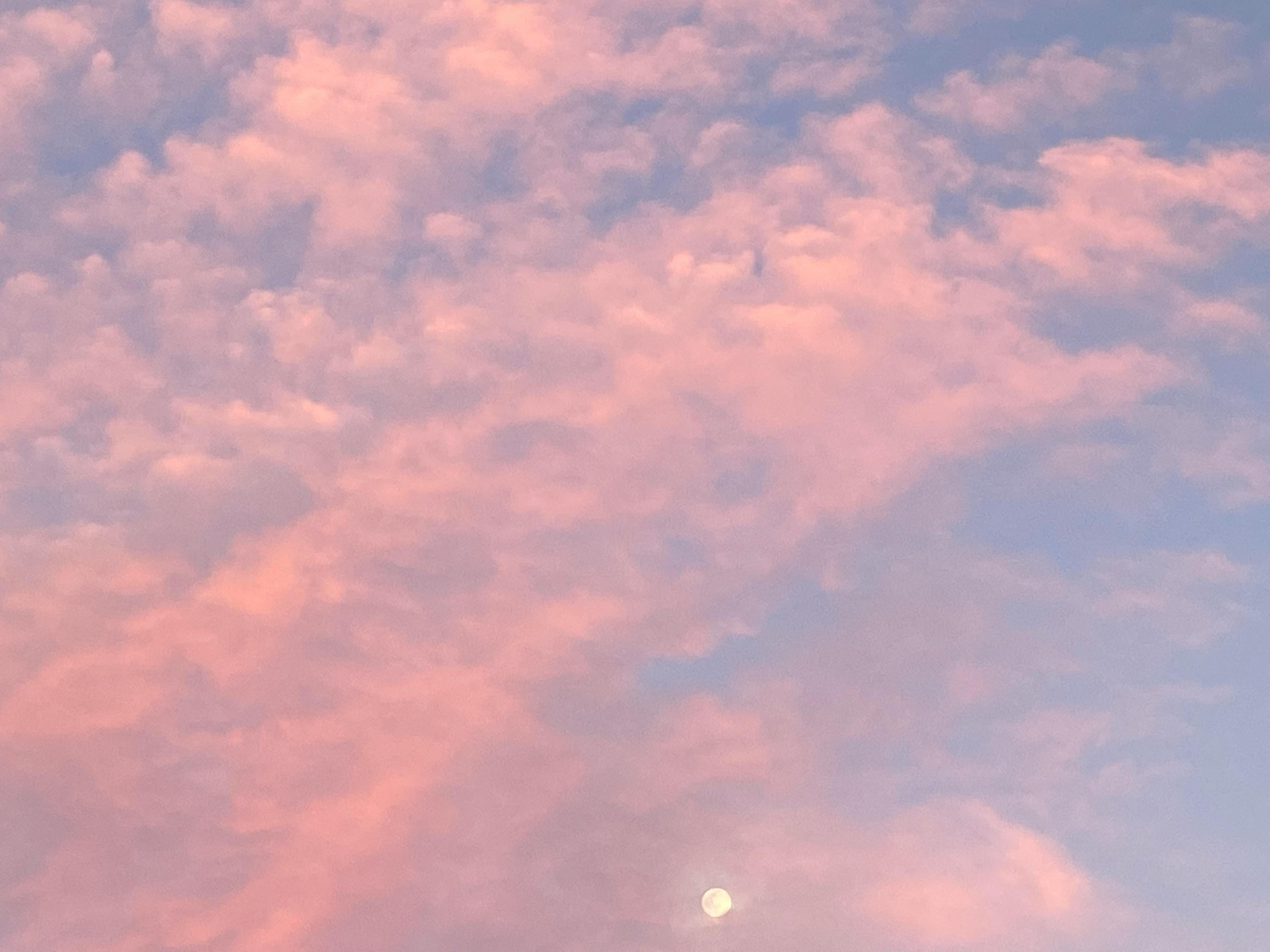 user avatar image for Oria