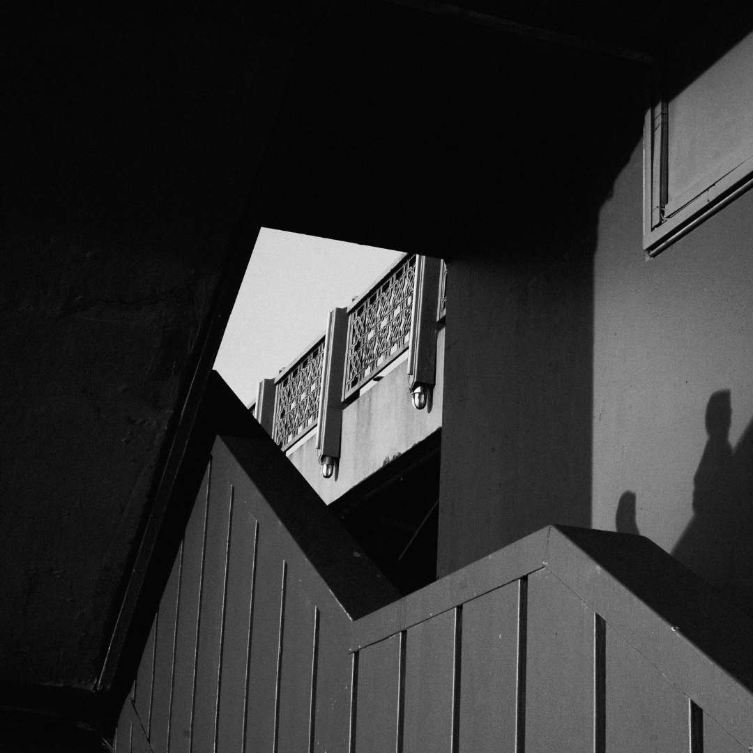 Watch from the shadows