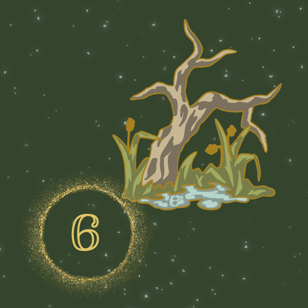 Six pins of your choice