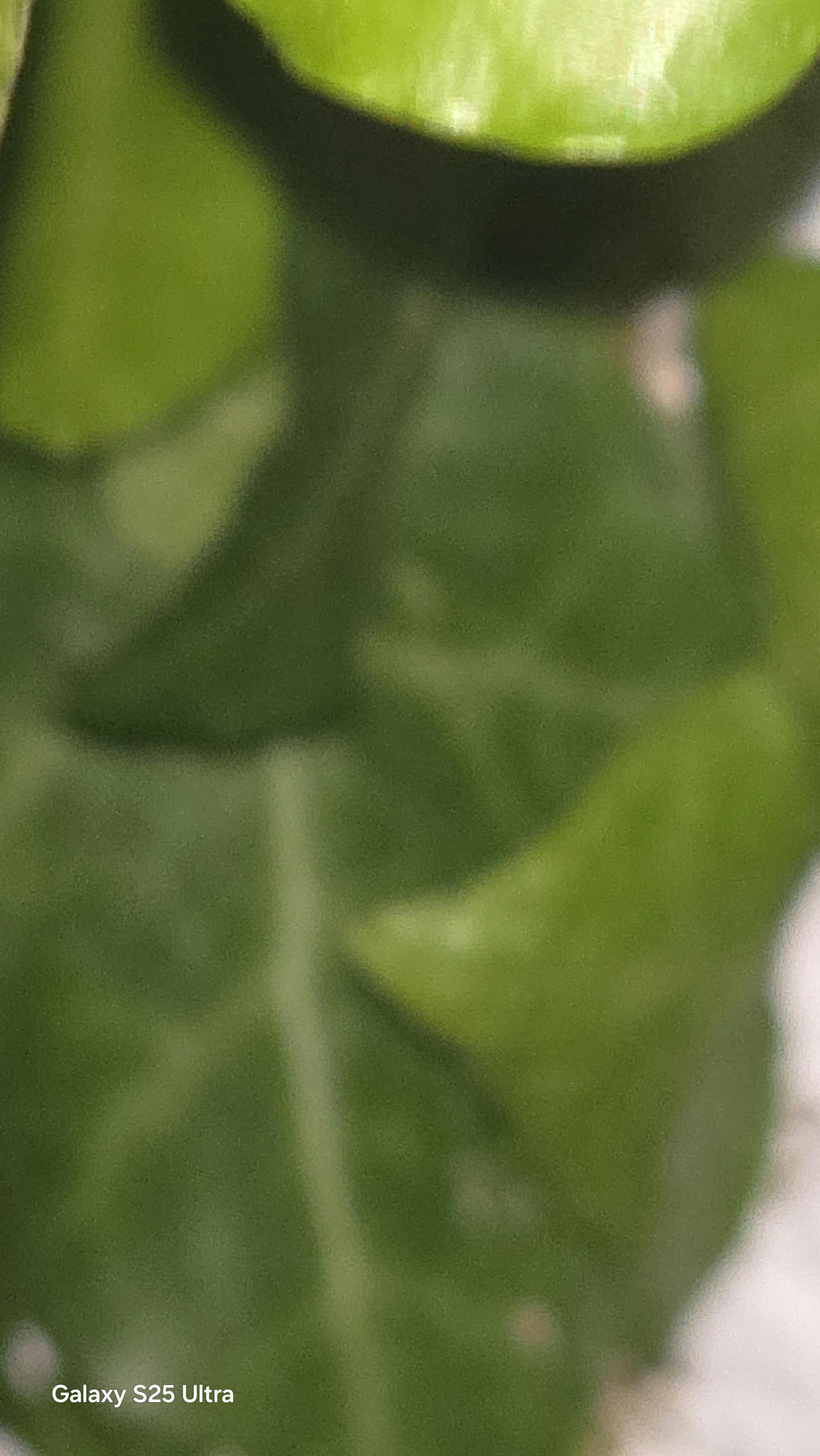 user avatar image for TESDVAnt