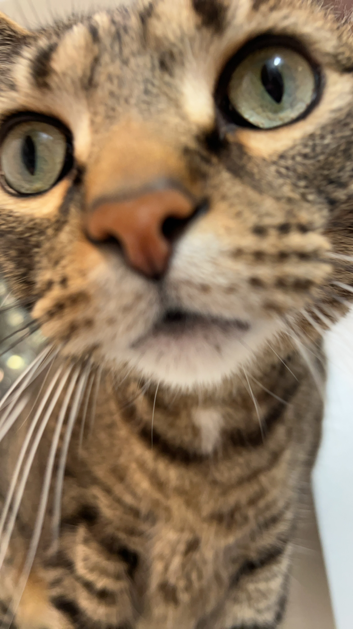 user avatar image for Abby