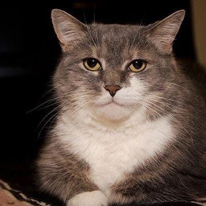 user avatar image for unclebucket