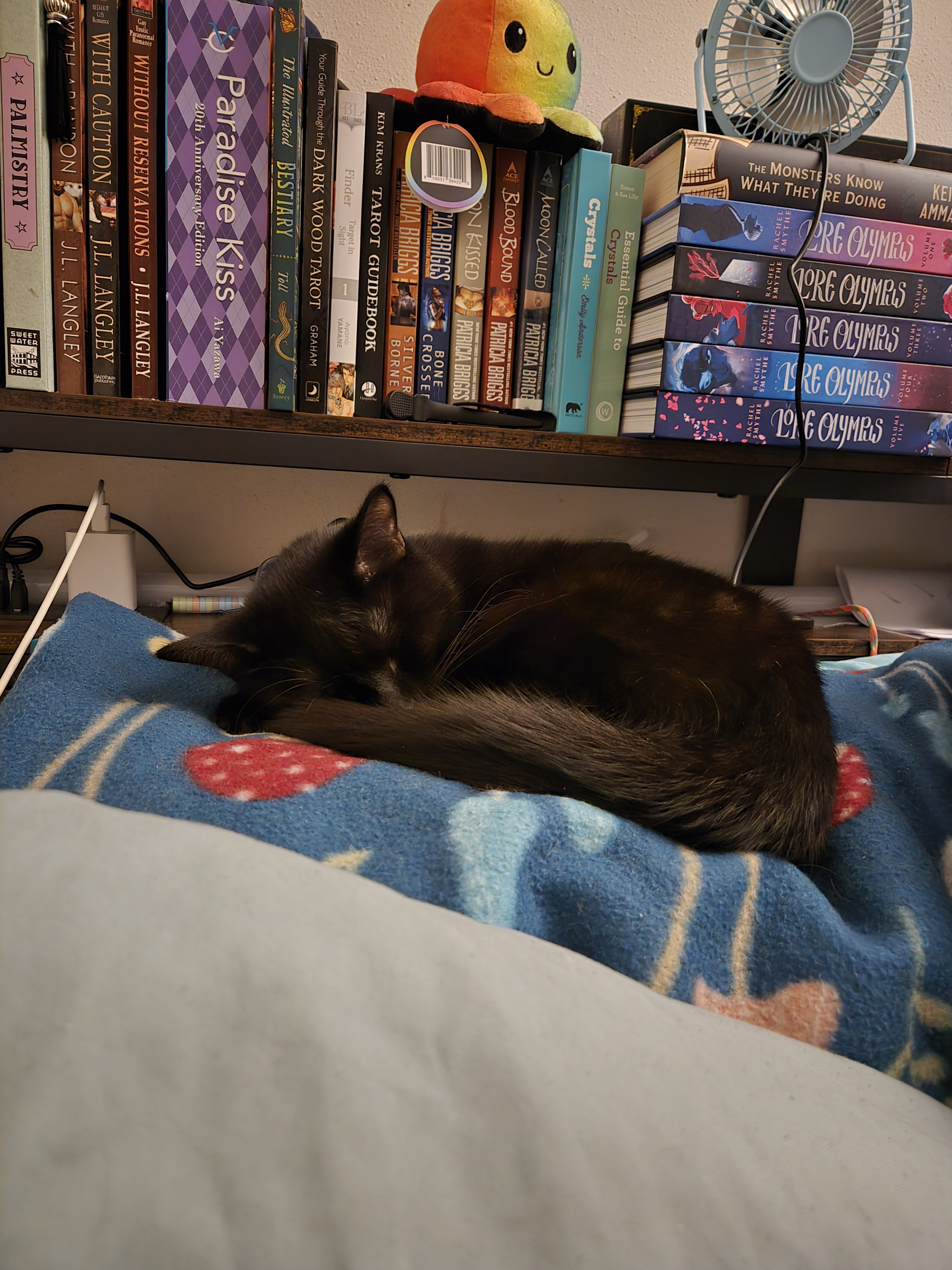 user avatar image for Bloodlesscry