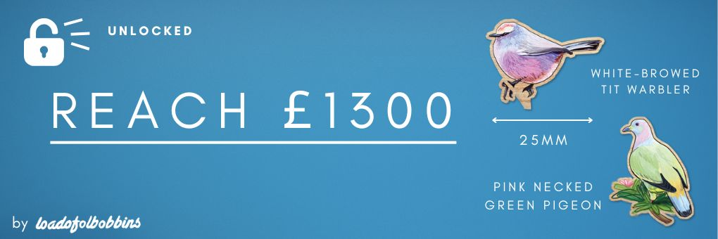 reach £1300 unlocked two mini wooden pins, one of a white-browed tit warbler and pink-necked green pigeon.