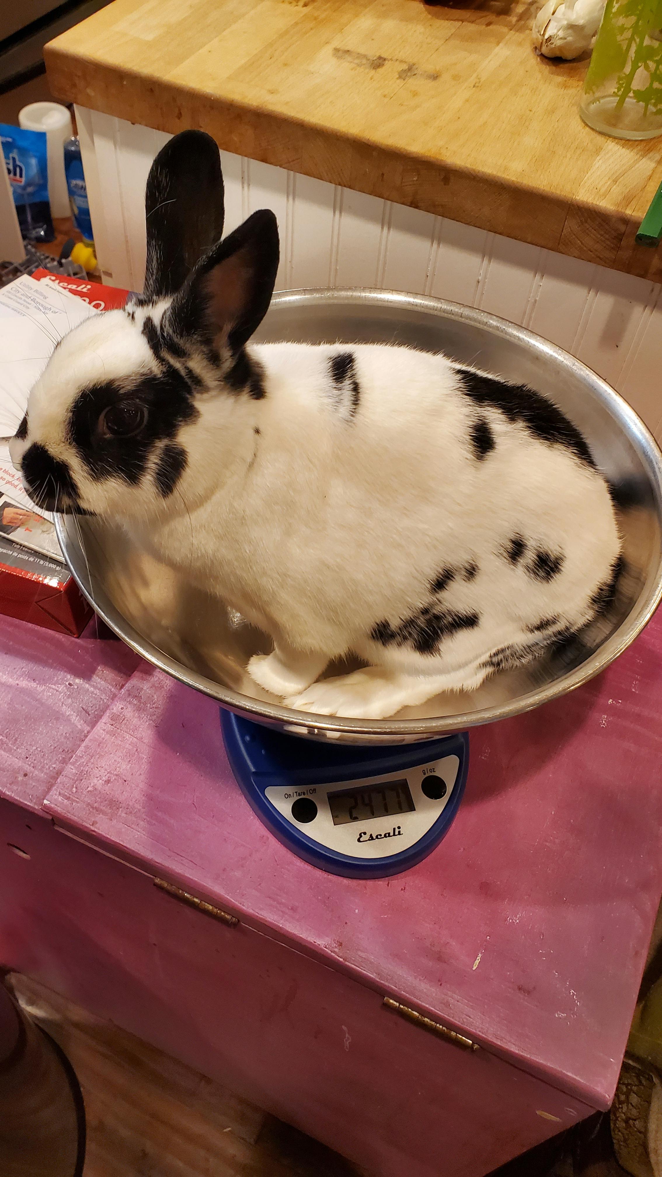 user avatar image for Juliet