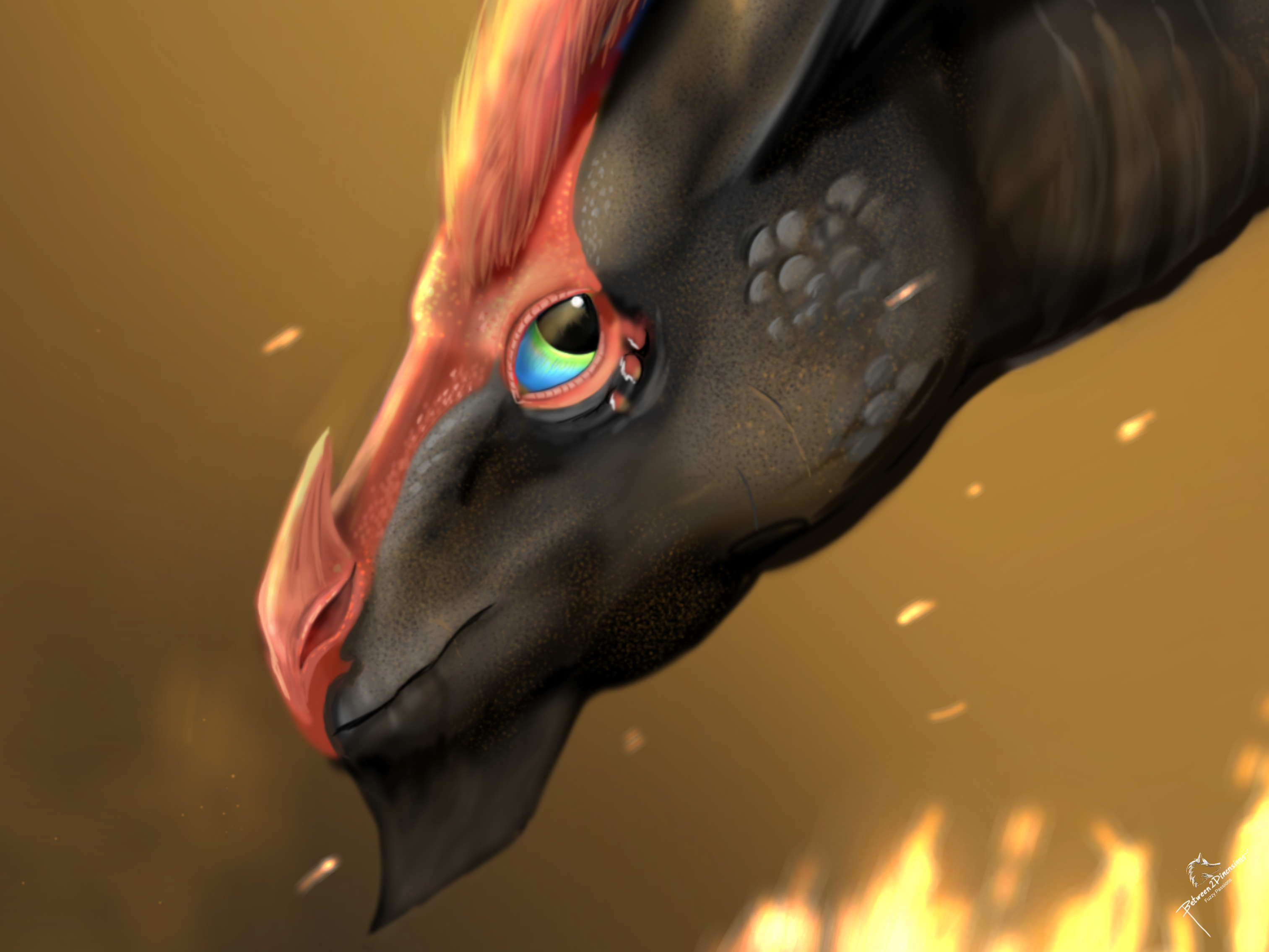 user avatar image for Between2Dimensions