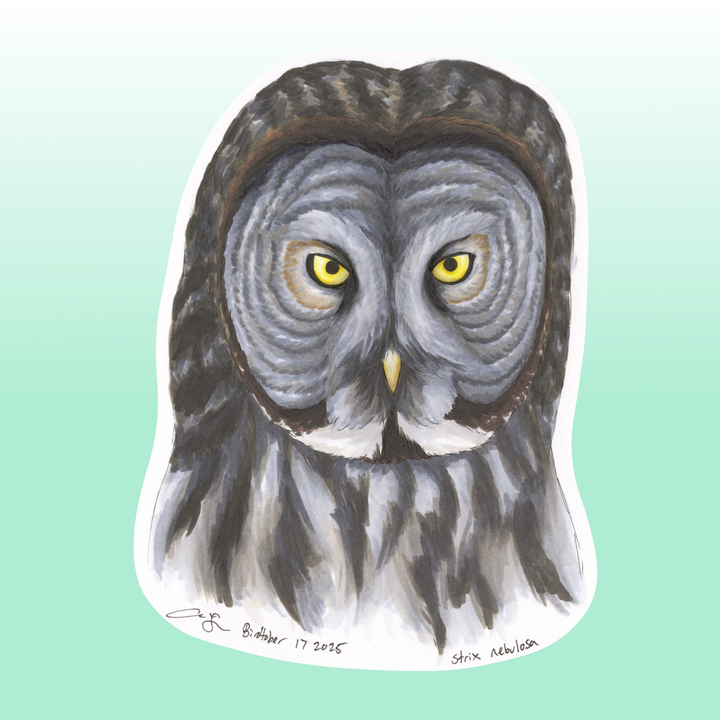 Great Gray Owl