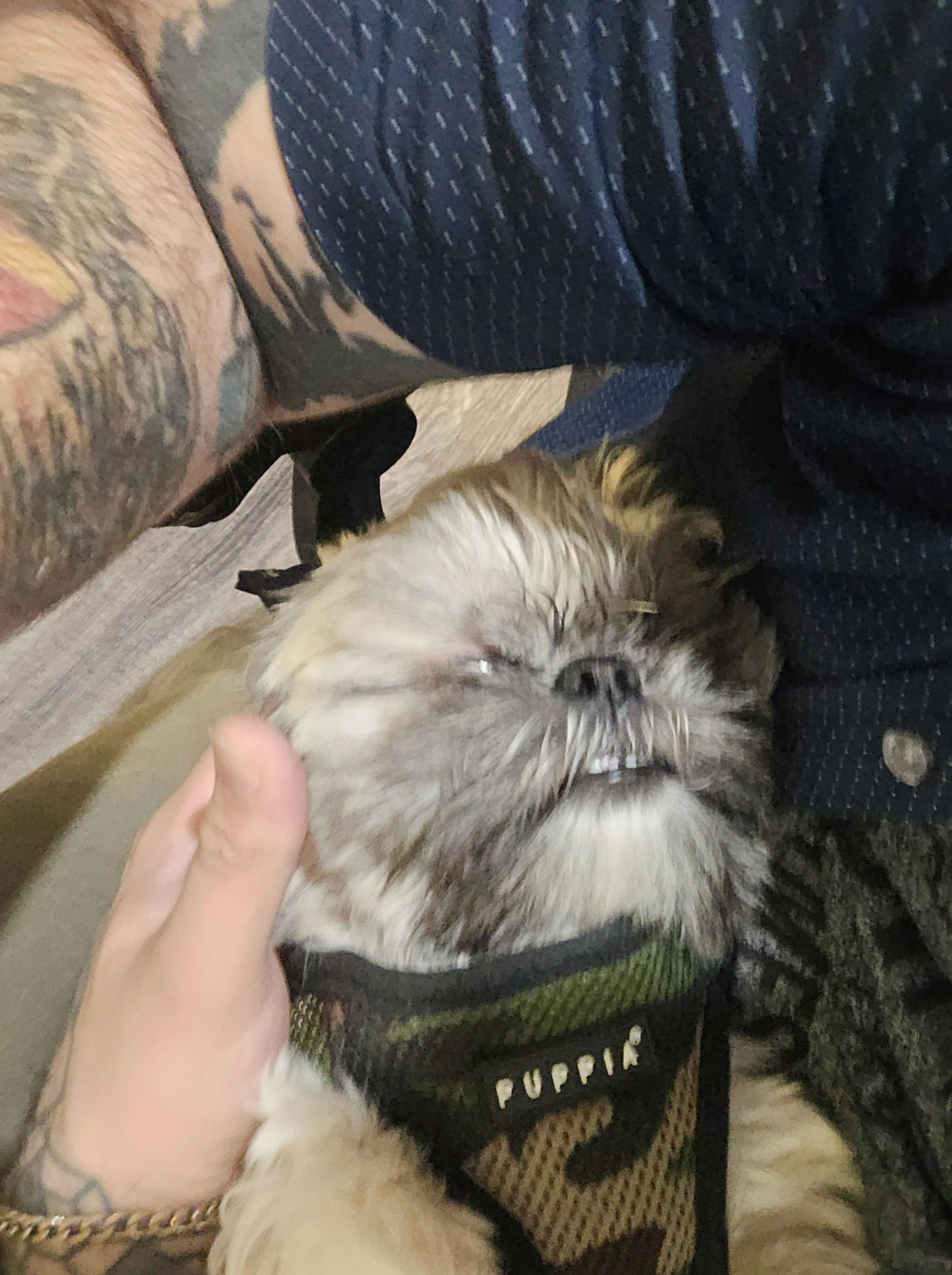 user avatar image for Daniel