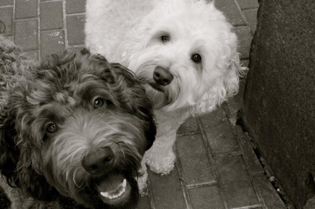 user avatar image for Deathbyvhs23