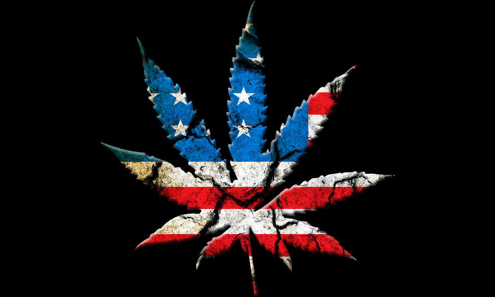 user avatar image for Nseixlhunter