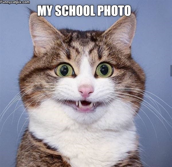 user avatar image for Sero