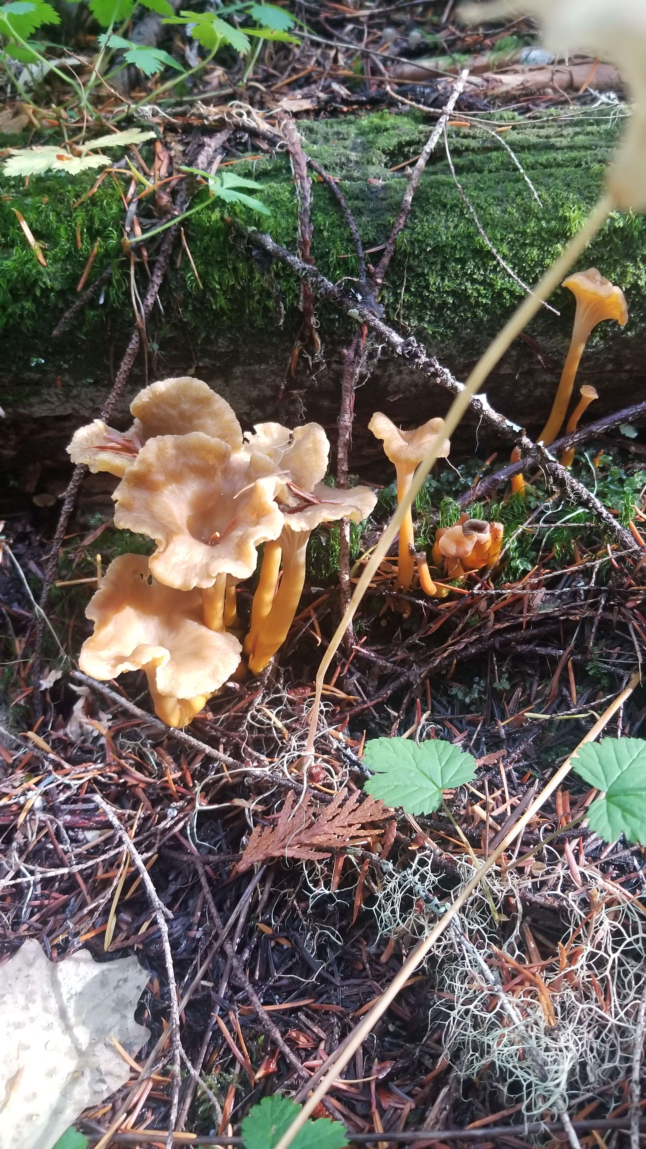 user avatar image for Jake