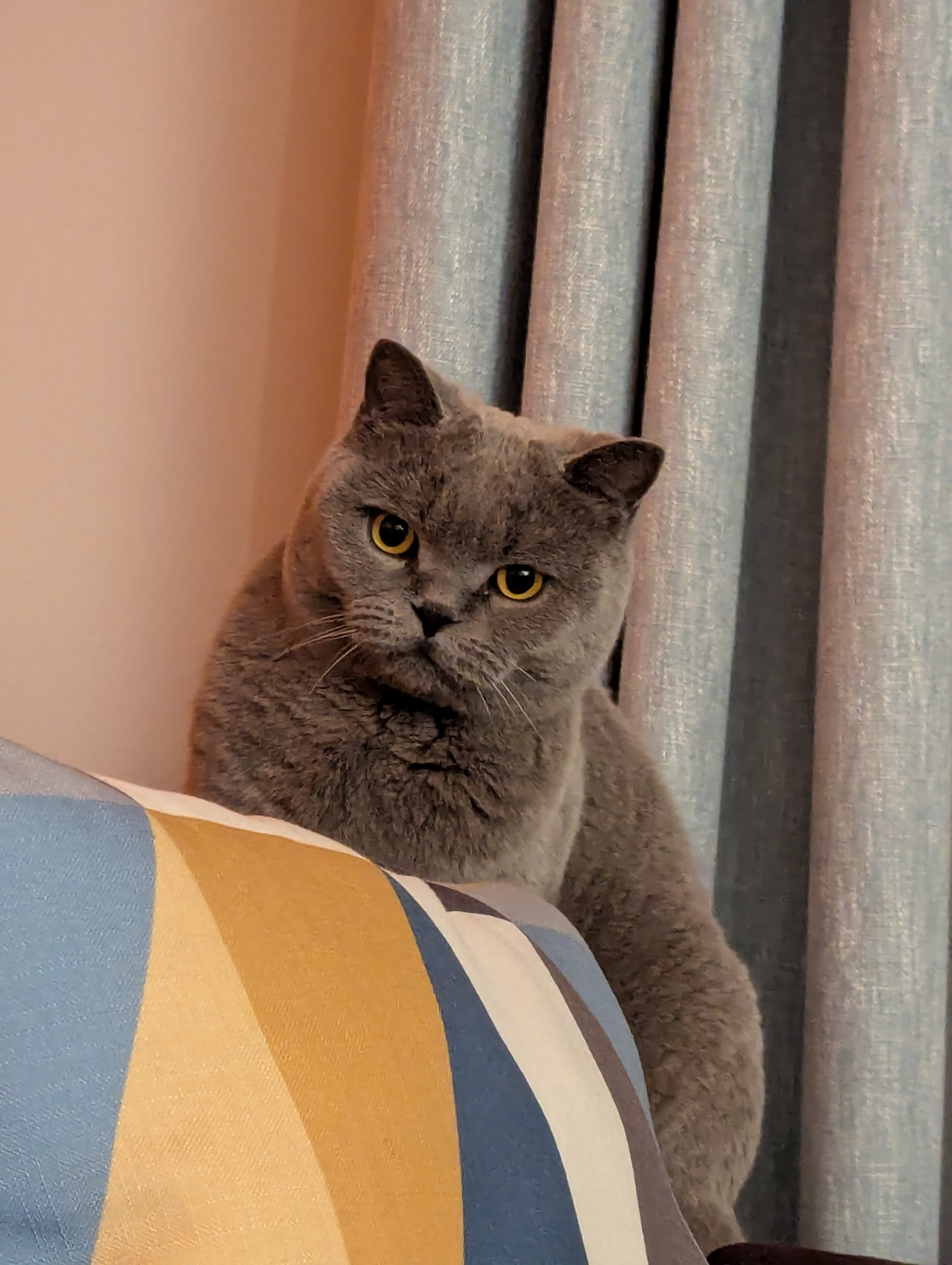 user avatar image for Kitty