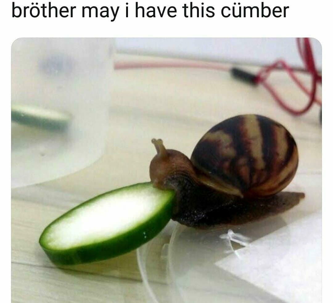 user avatar image for K. Knox