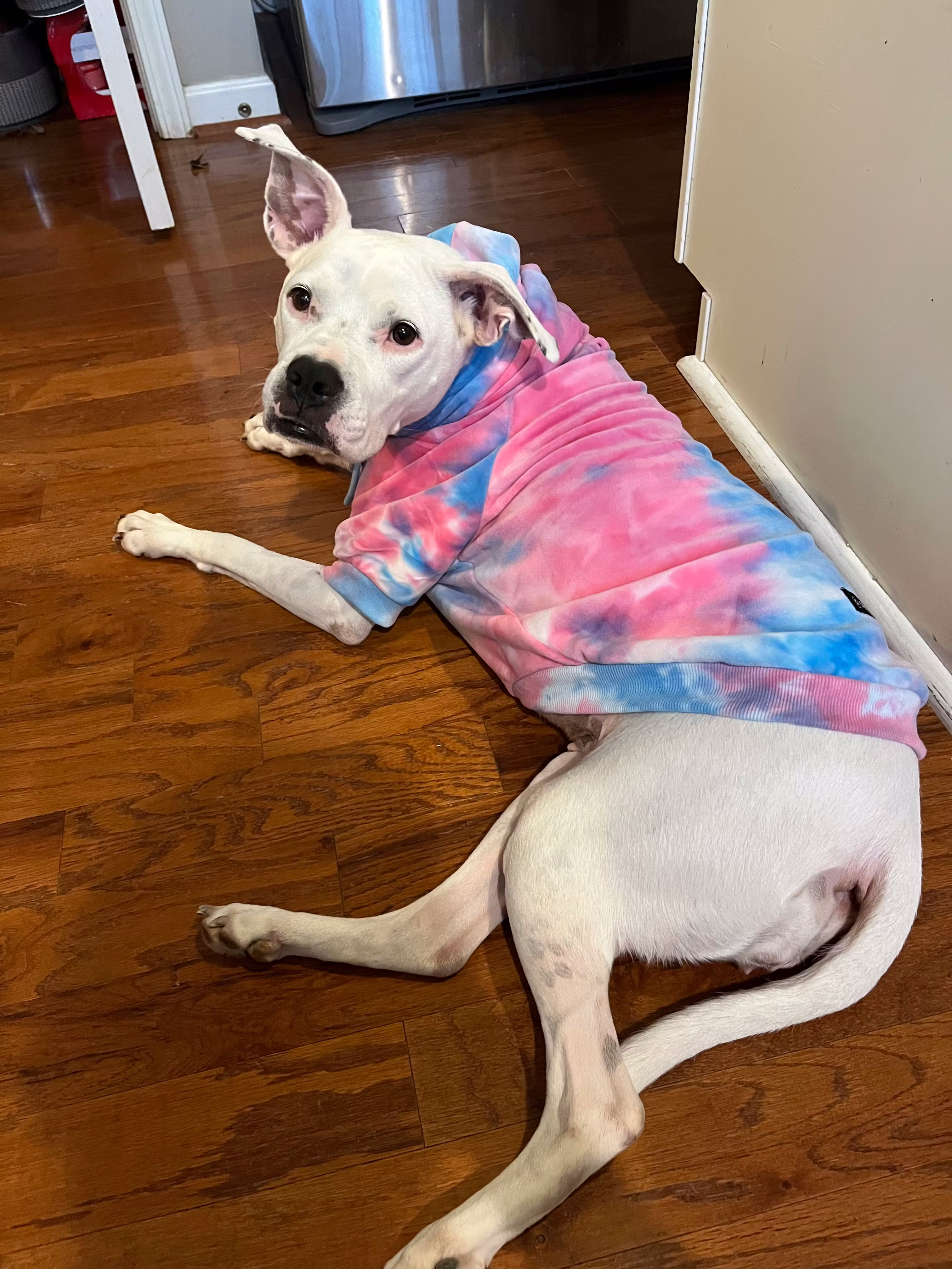 user avatar image for Matthew Ayers