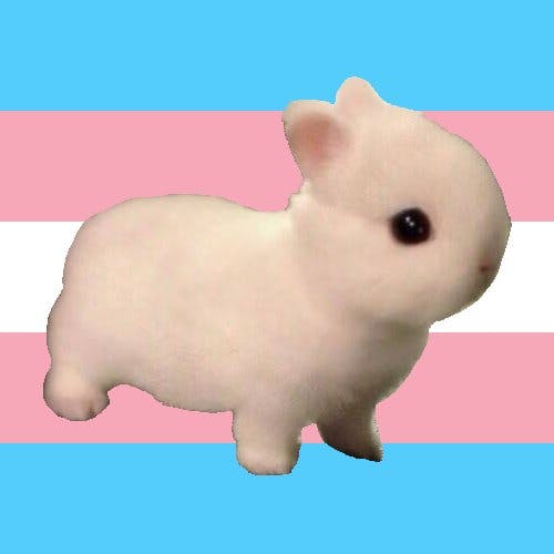 user avatar image for Connor