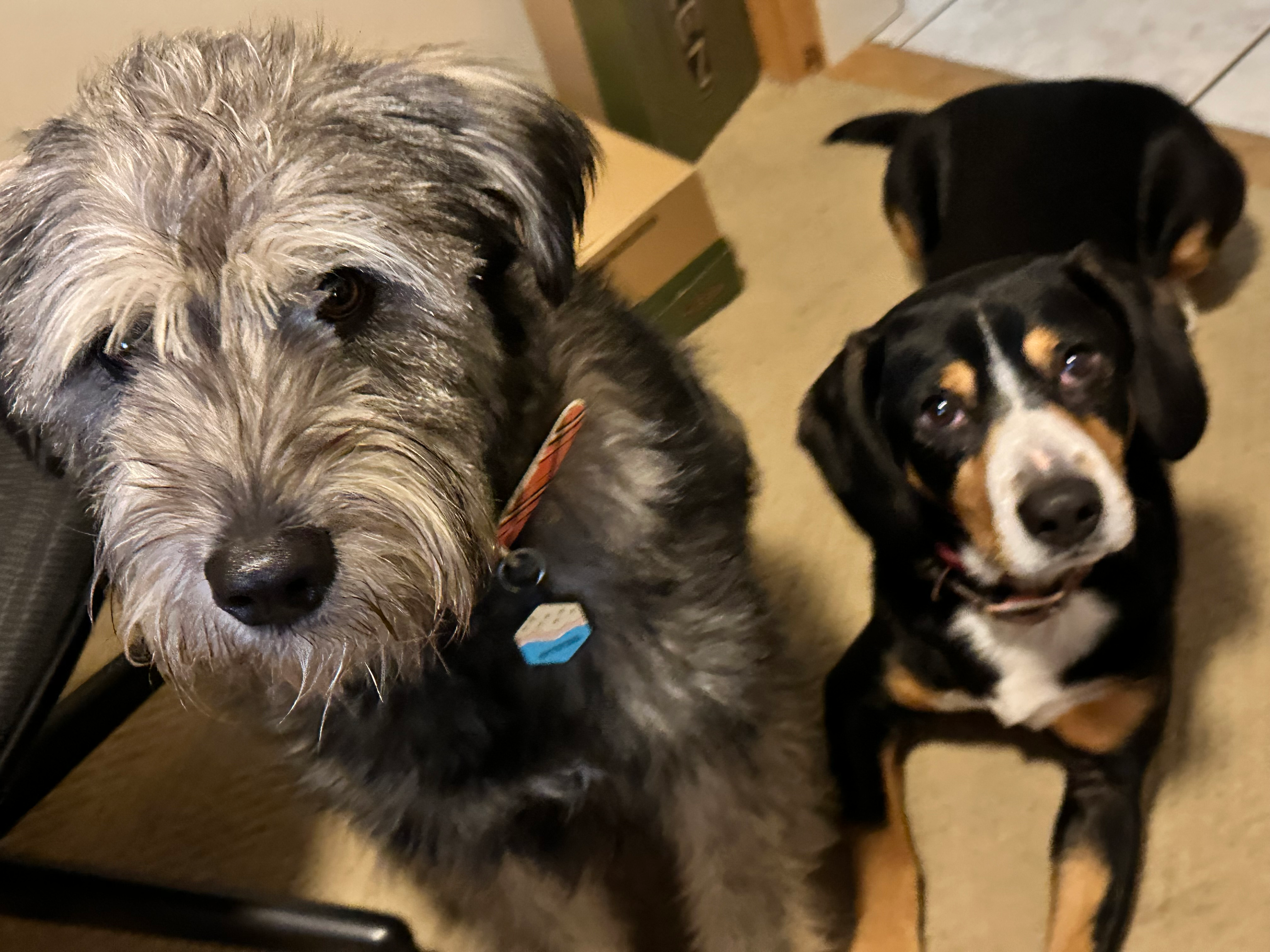 user avatar image for Andrew Rush