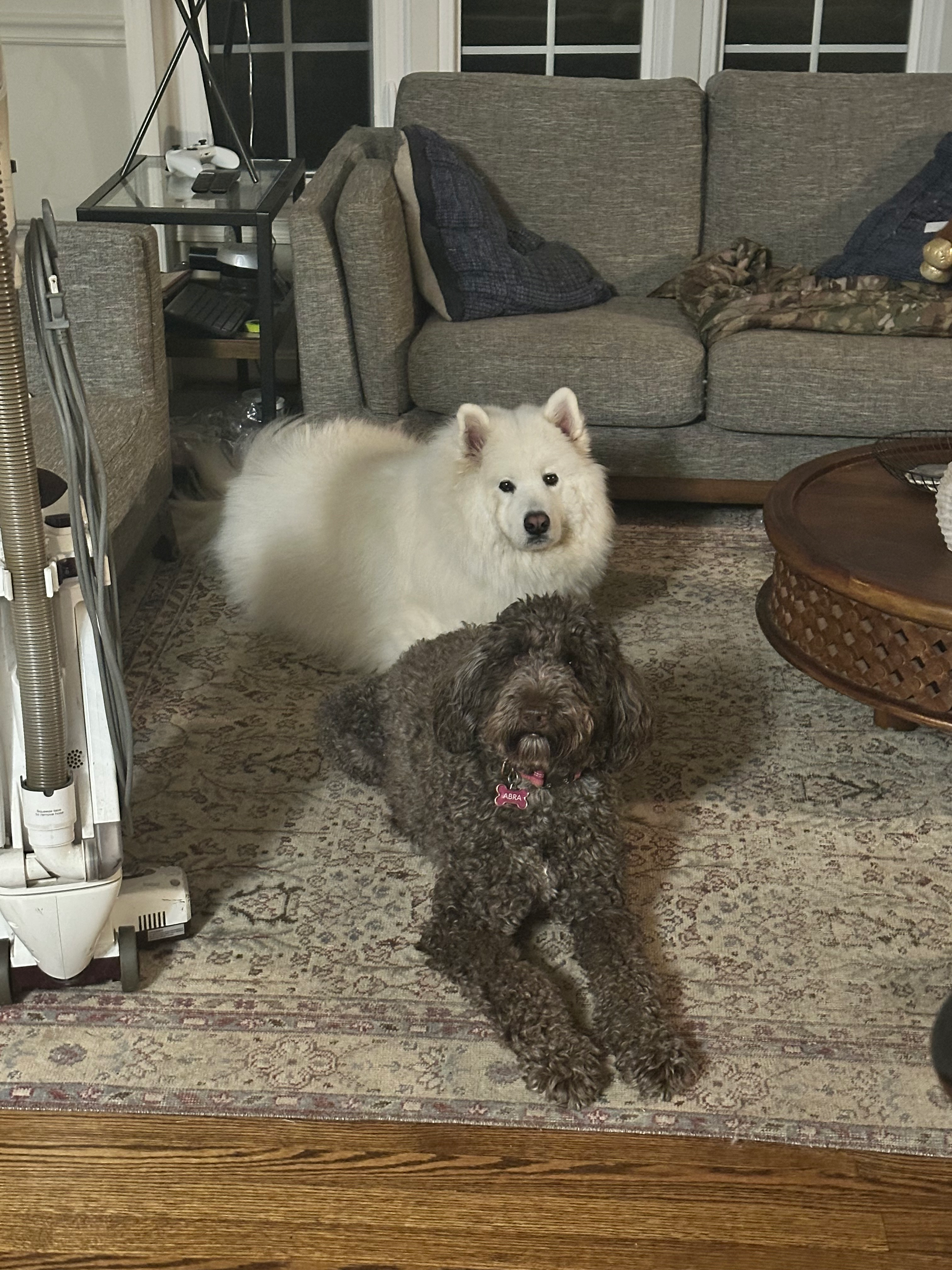 user avatar image for Emily