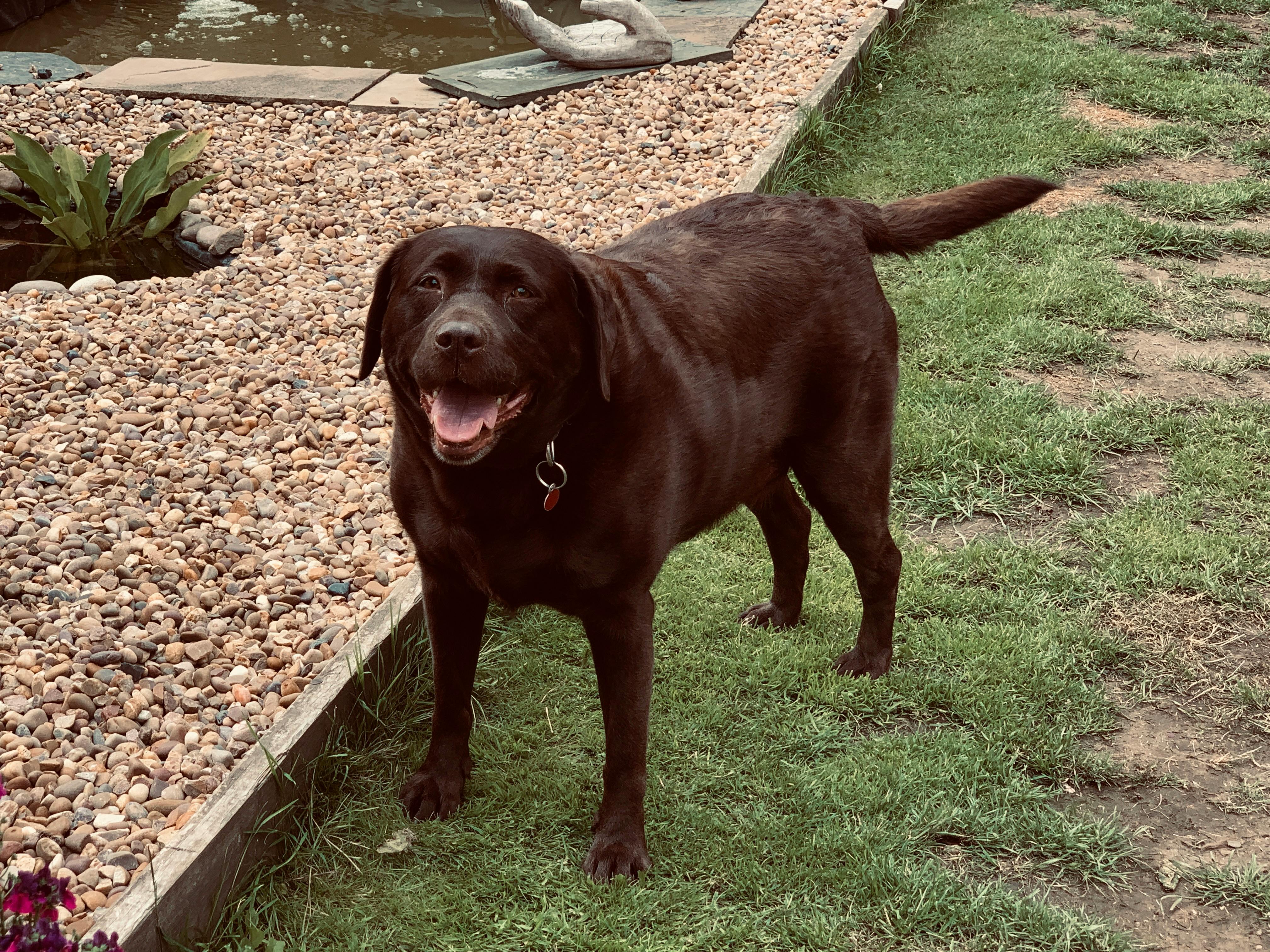 user avatar image for Ebony